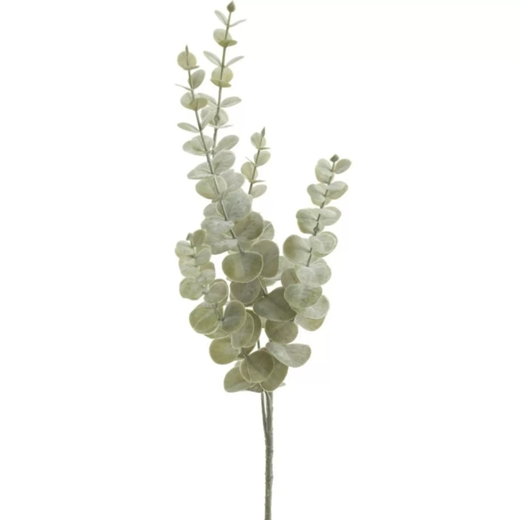 Greenery*Pine Center 29" Eucalyptus Branch
