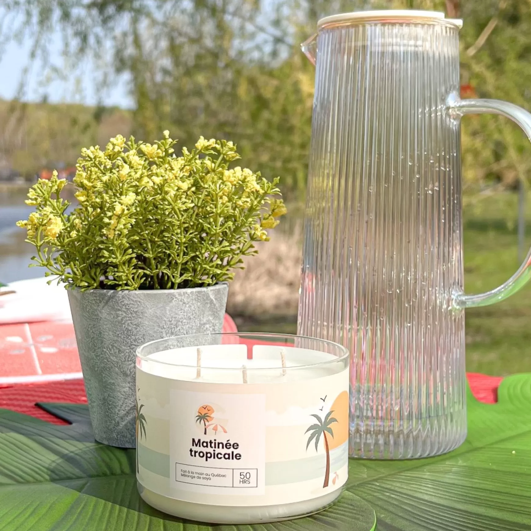 Scented Candles*Kozy x Three Wix & CO 3-Wick Candle - Tropical Morning