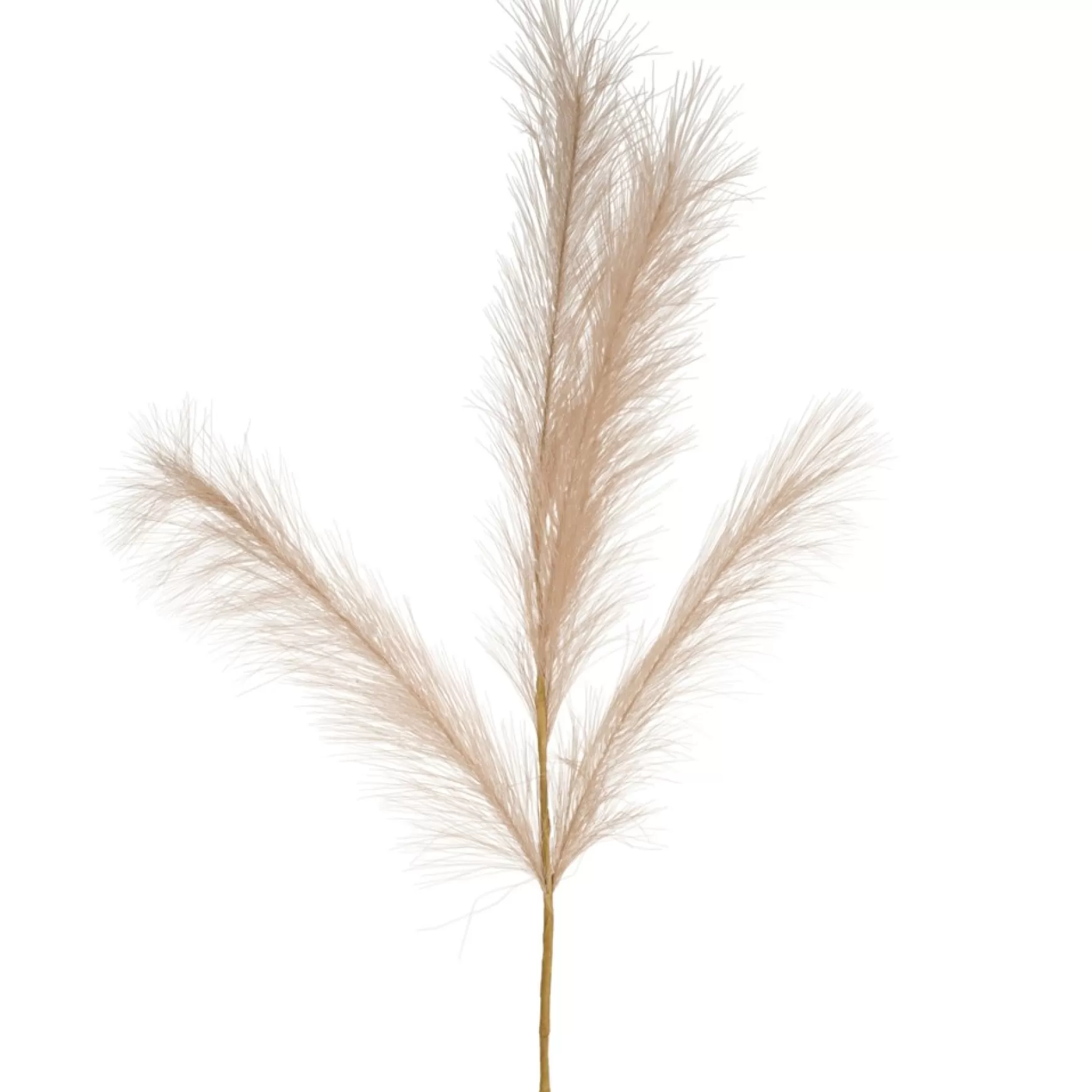 Dried Stems & Flowers*Attitudes Import Beige Feathers Stem - Illuminated