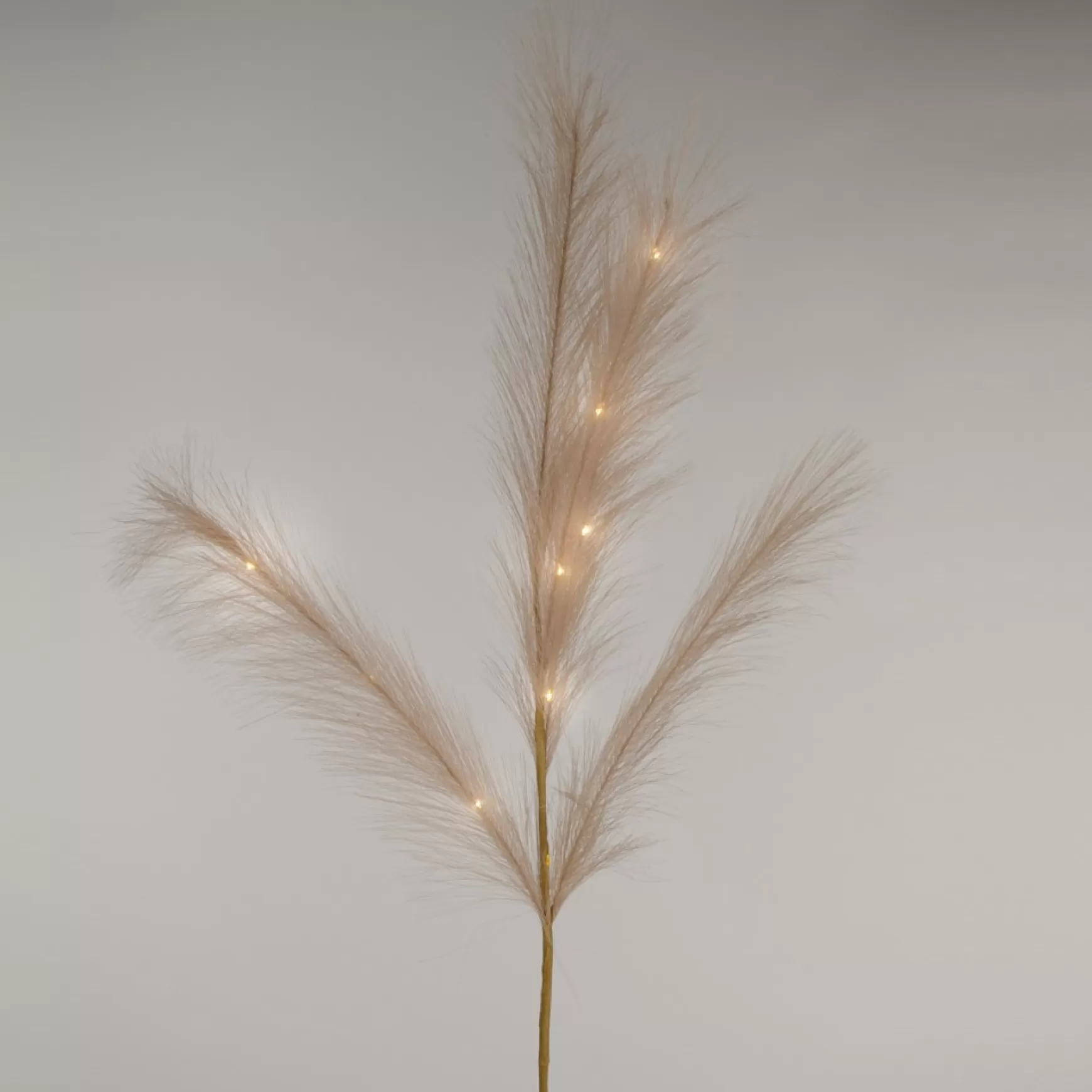 Dried Stems & Flowers*Attitudes Import Beige Feathers Stem - Illuminated
