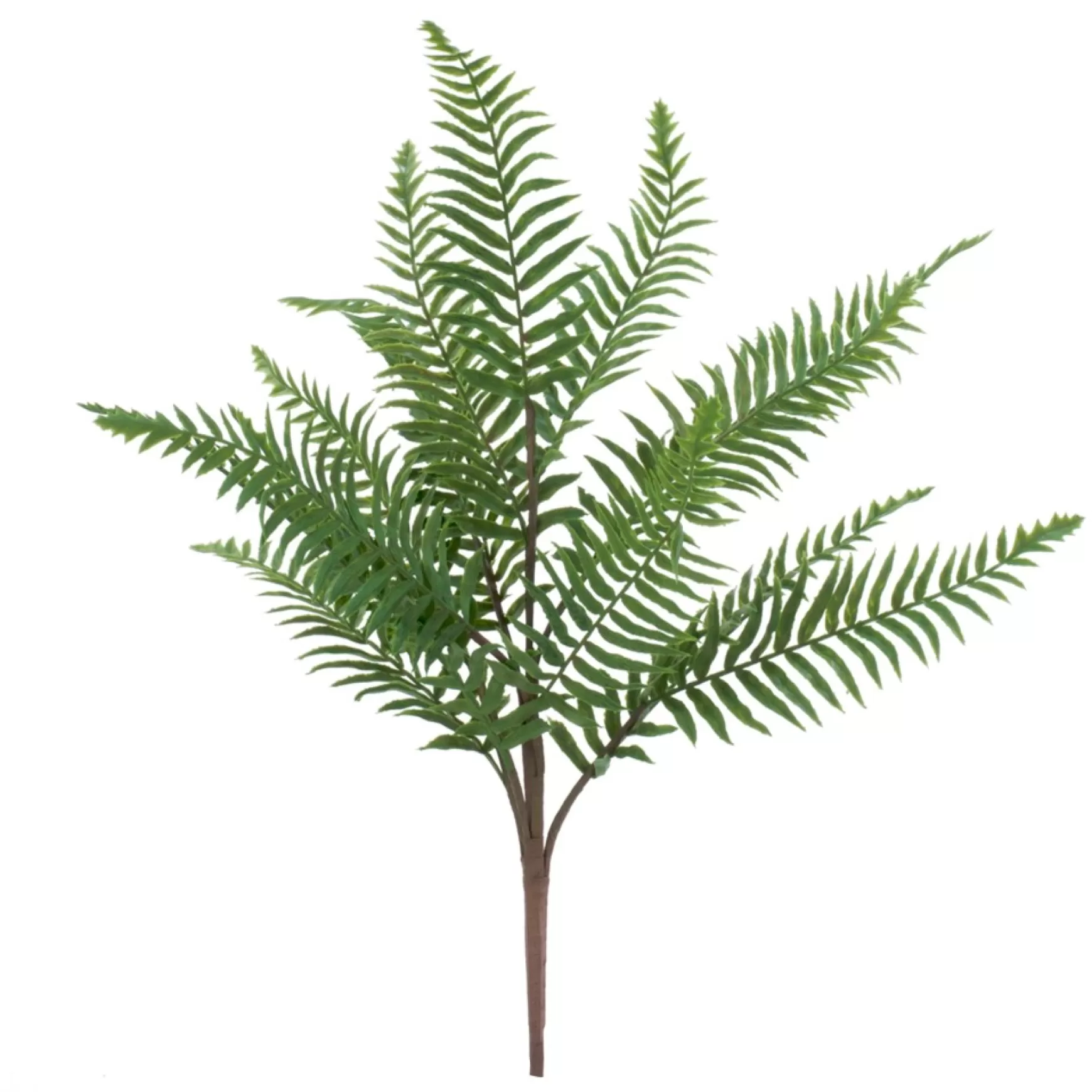 Greenery*Attitudes Import 2 Bouquet Of Fern