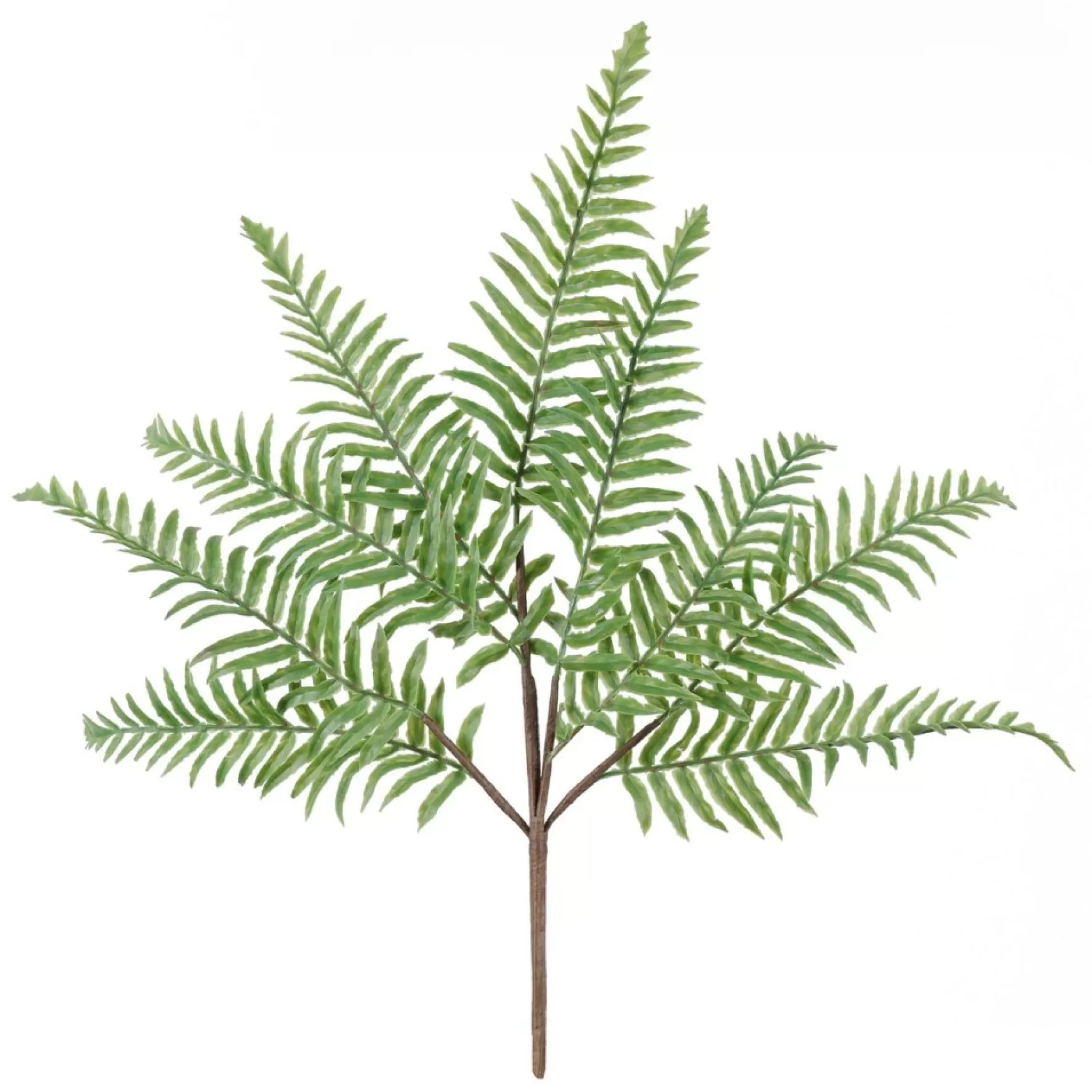 Greenery*Danson Decor Bouquet Of Green Ferns - 18"