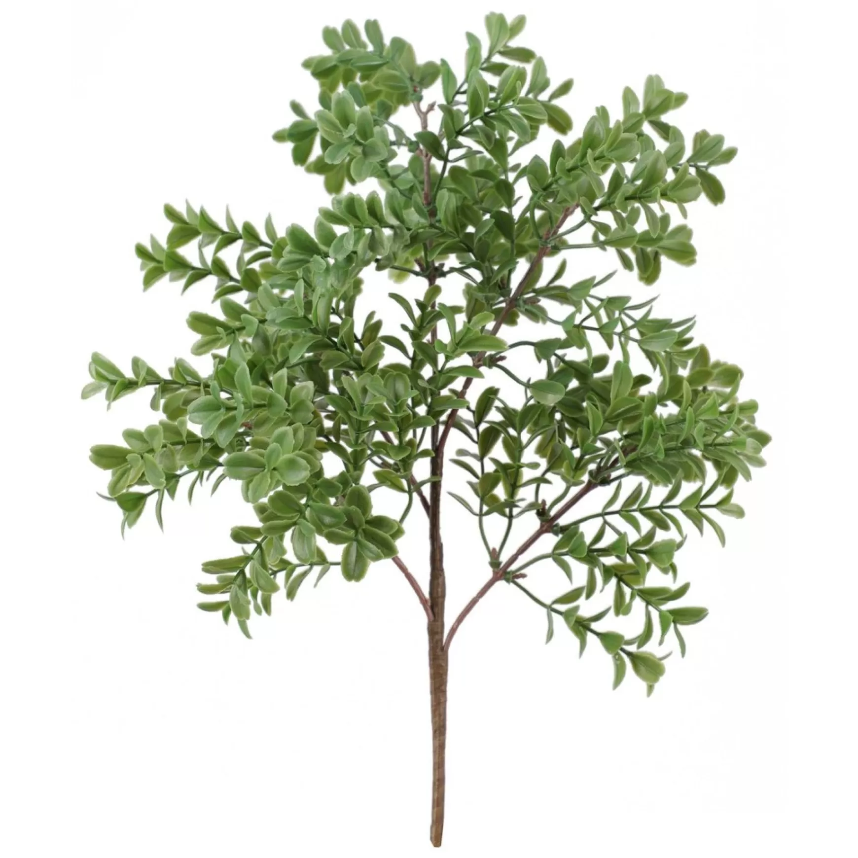 Greenery*Danson Decor Boxwood Bouquet - 14"