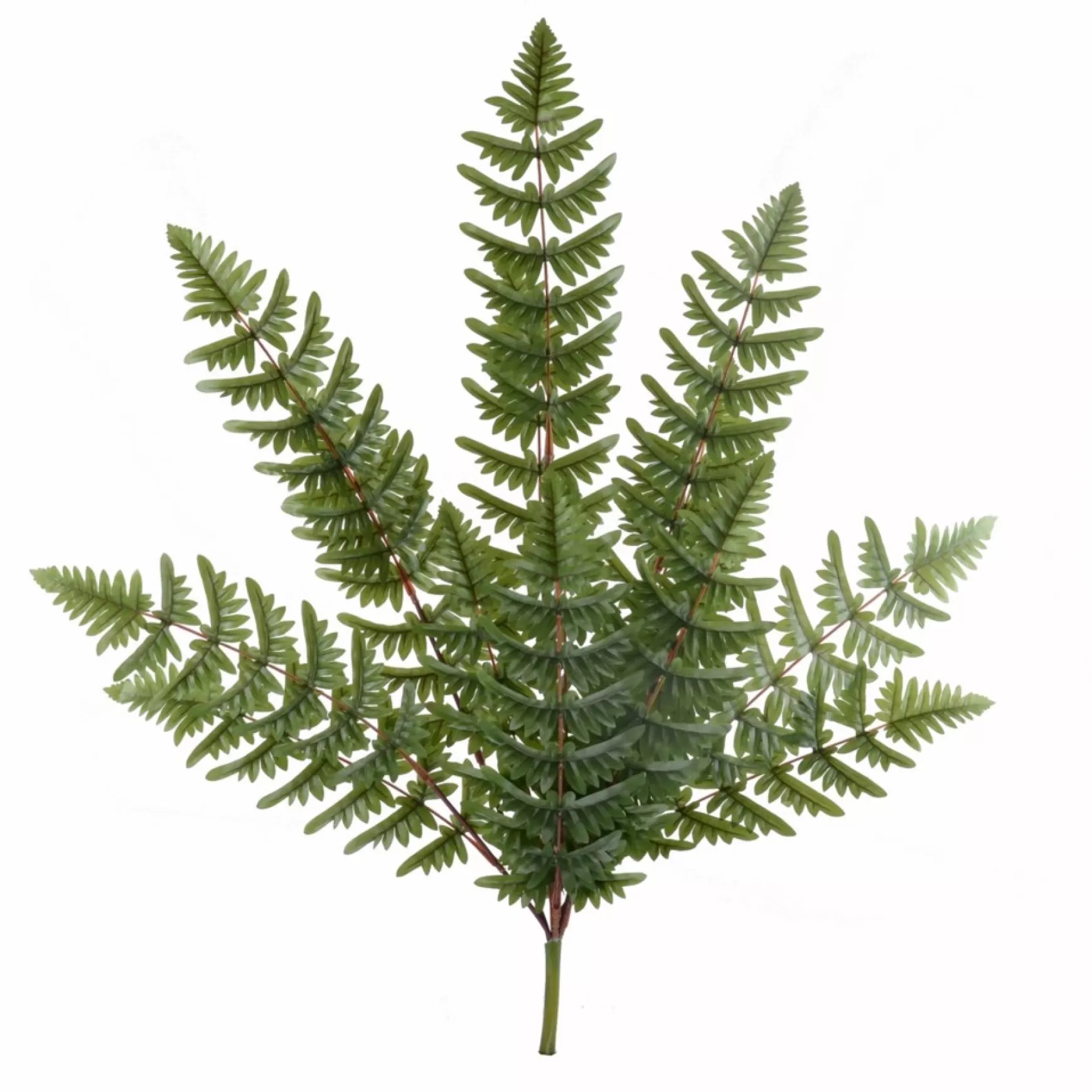 Greenery*Attitudes Import 2 Branch Of Fern