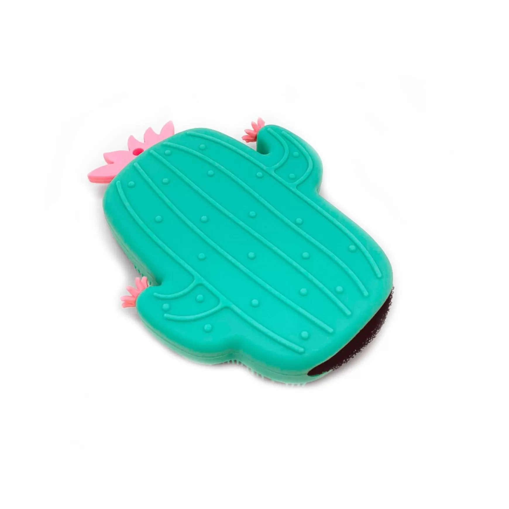 Maintenance & Cleaning*Ricardo Brush & Sponge - Cactus