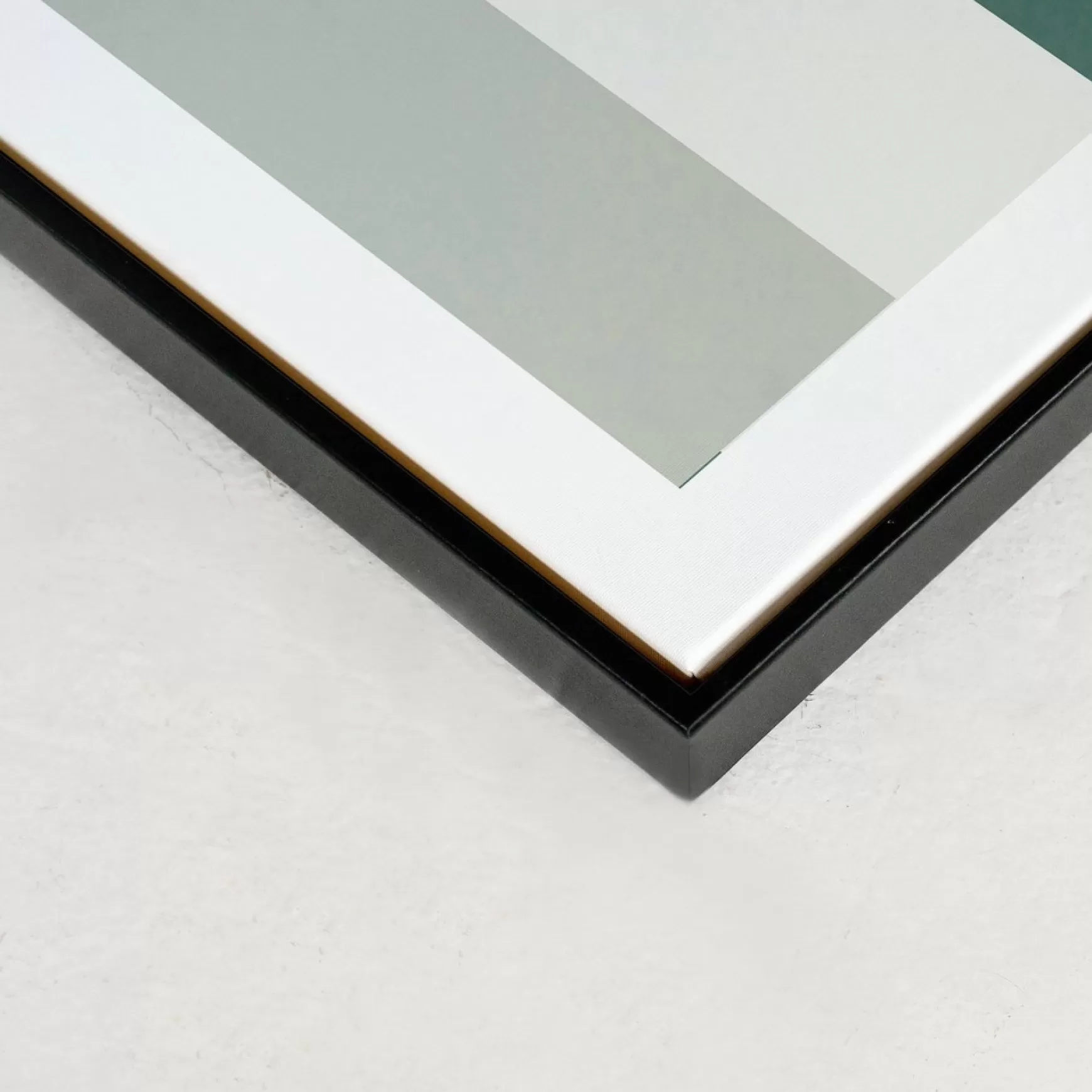 Canvases*Kozy X Oleka Canvas - Arche Jungle Ii