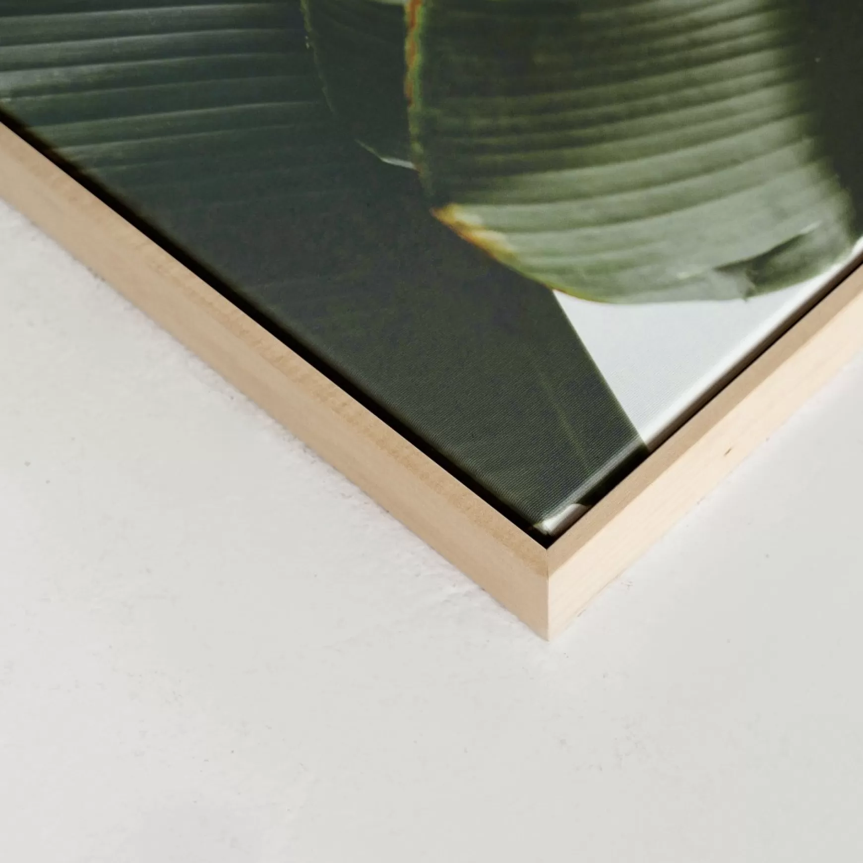 Canvases*Kozy X Oleka Canvas - Banana Tree