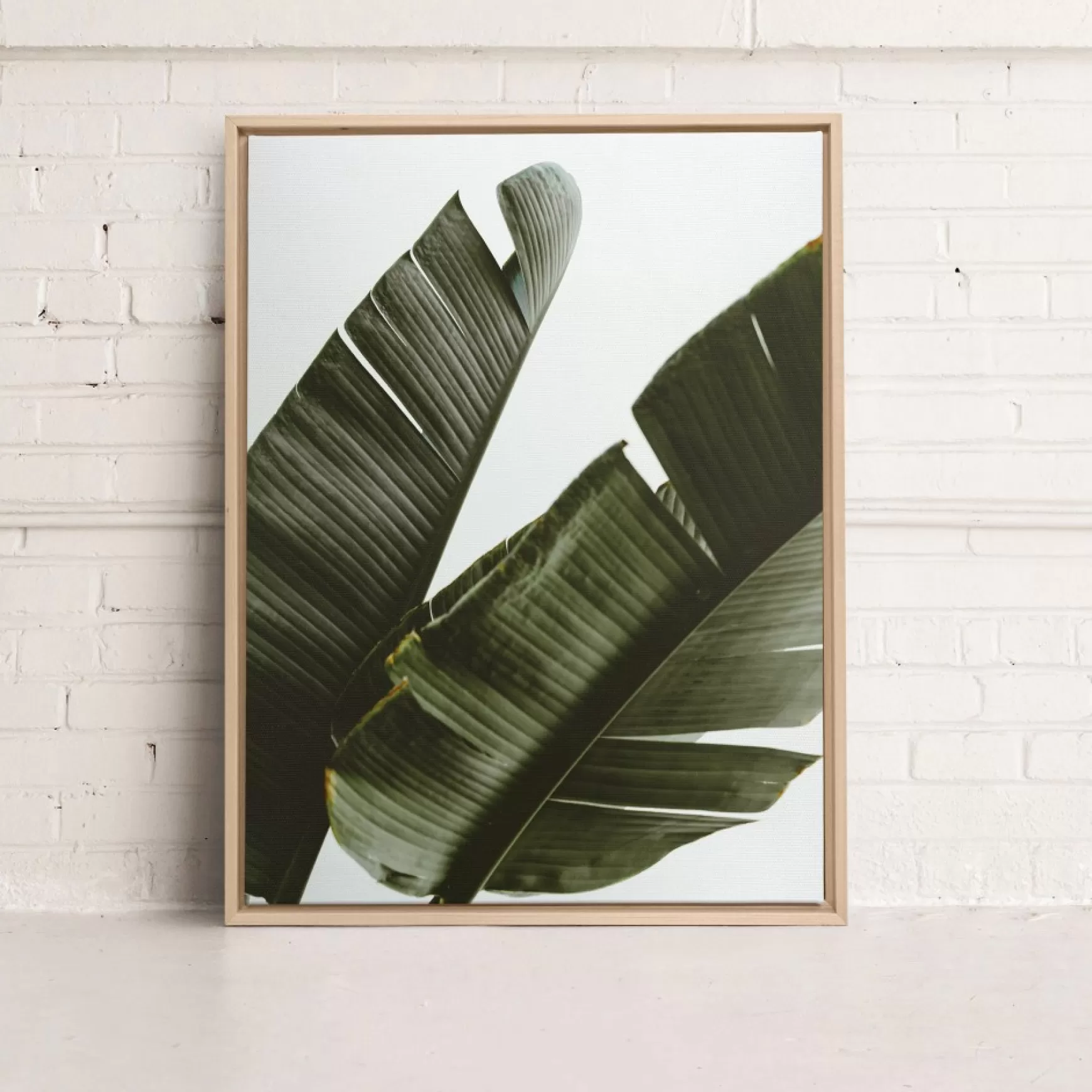 Canvases*Kozy X Oleka Canvas - Banana Tree