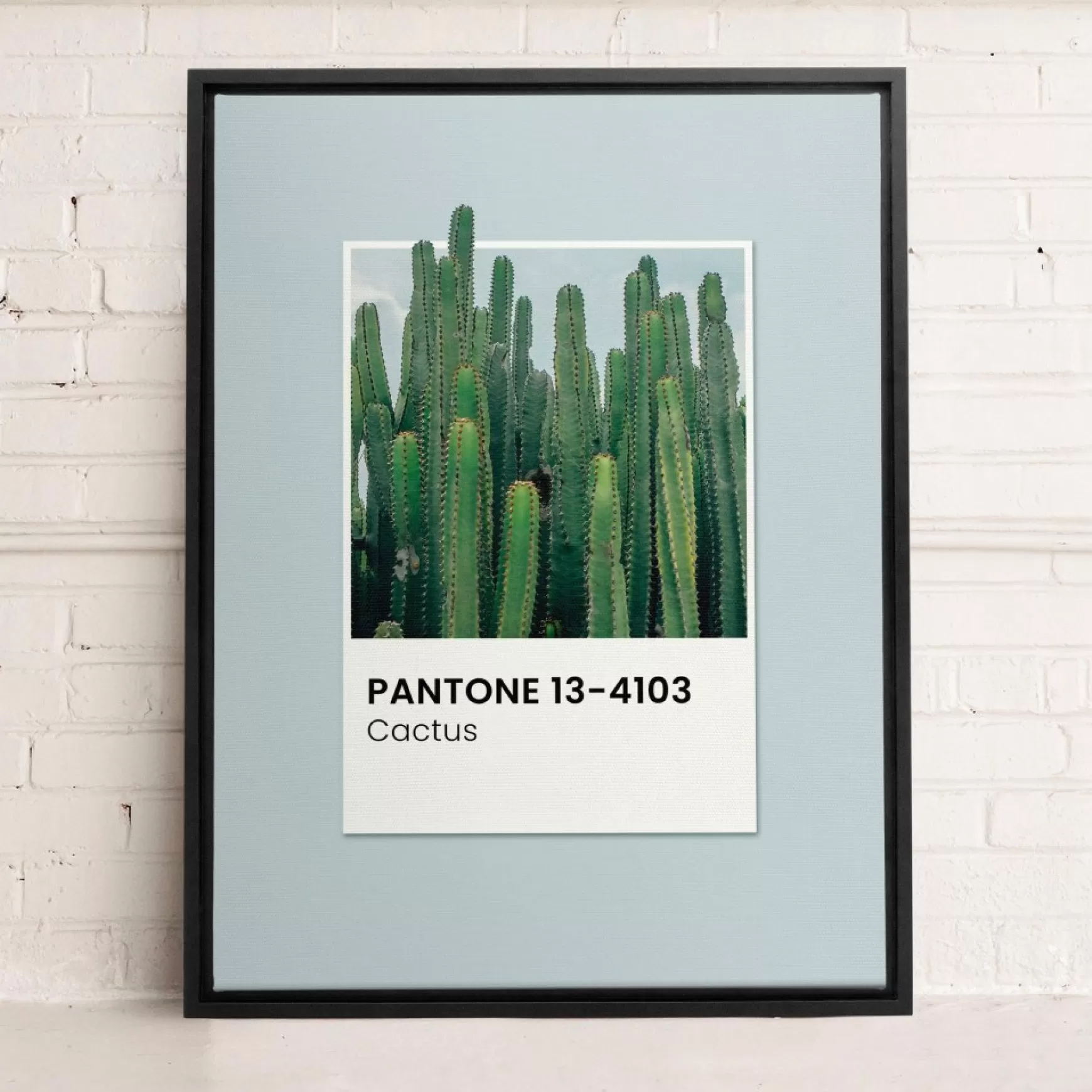 Canvases*Oleka Canvas Canvas - Cactus