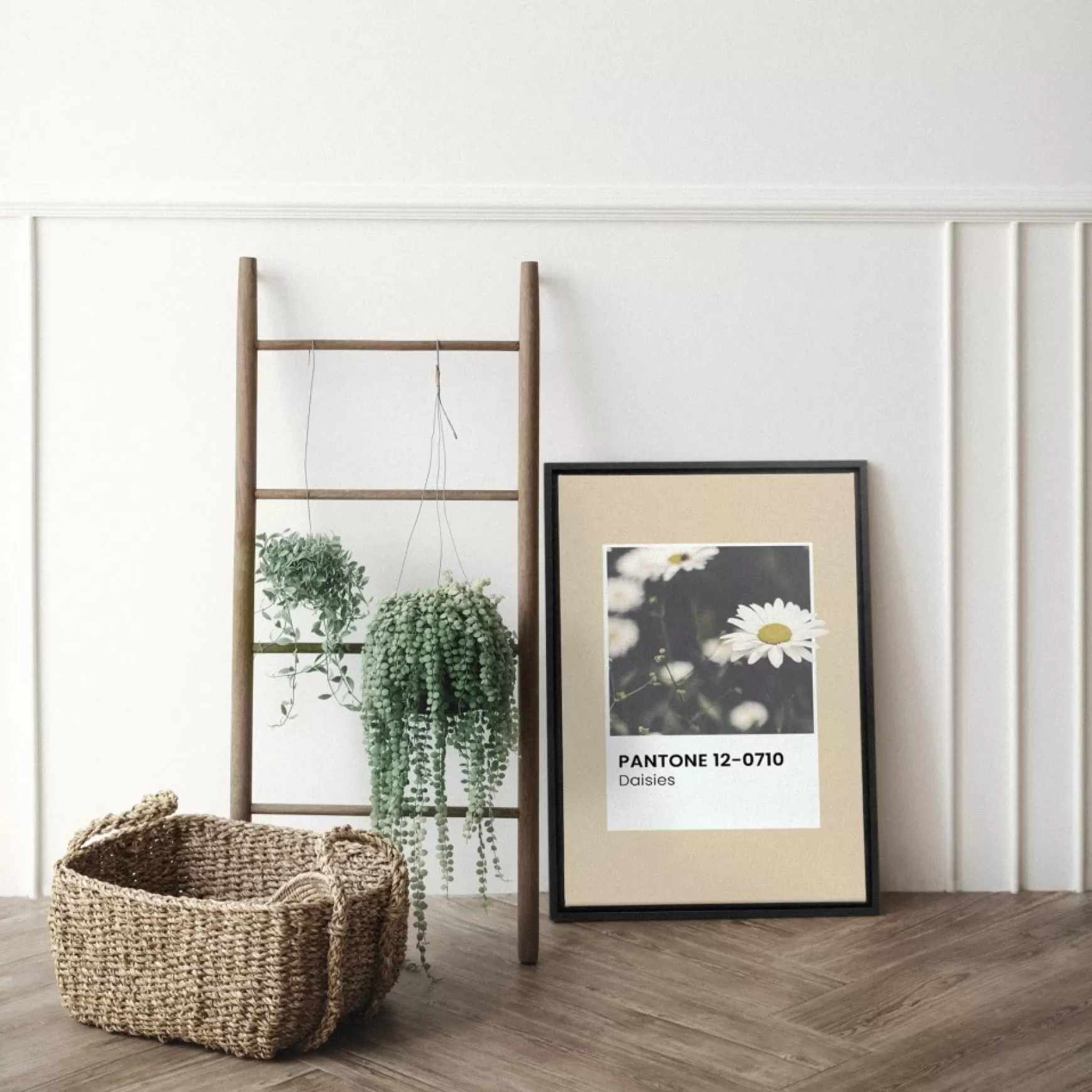 Canvases*Oleka Canvas Canvas - Daisies