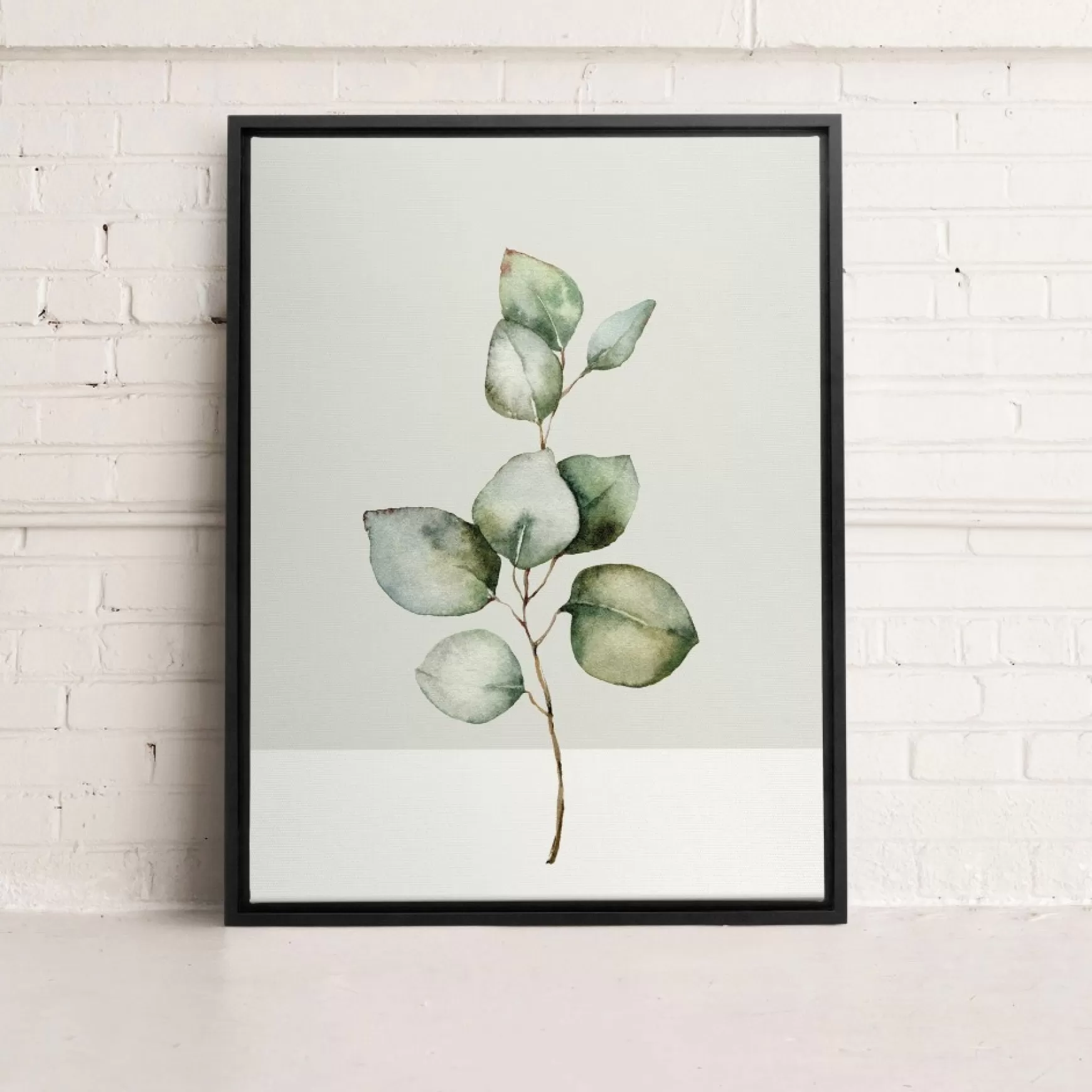 Canvases*Kozy X Oleka Canvas - Eucalyptus