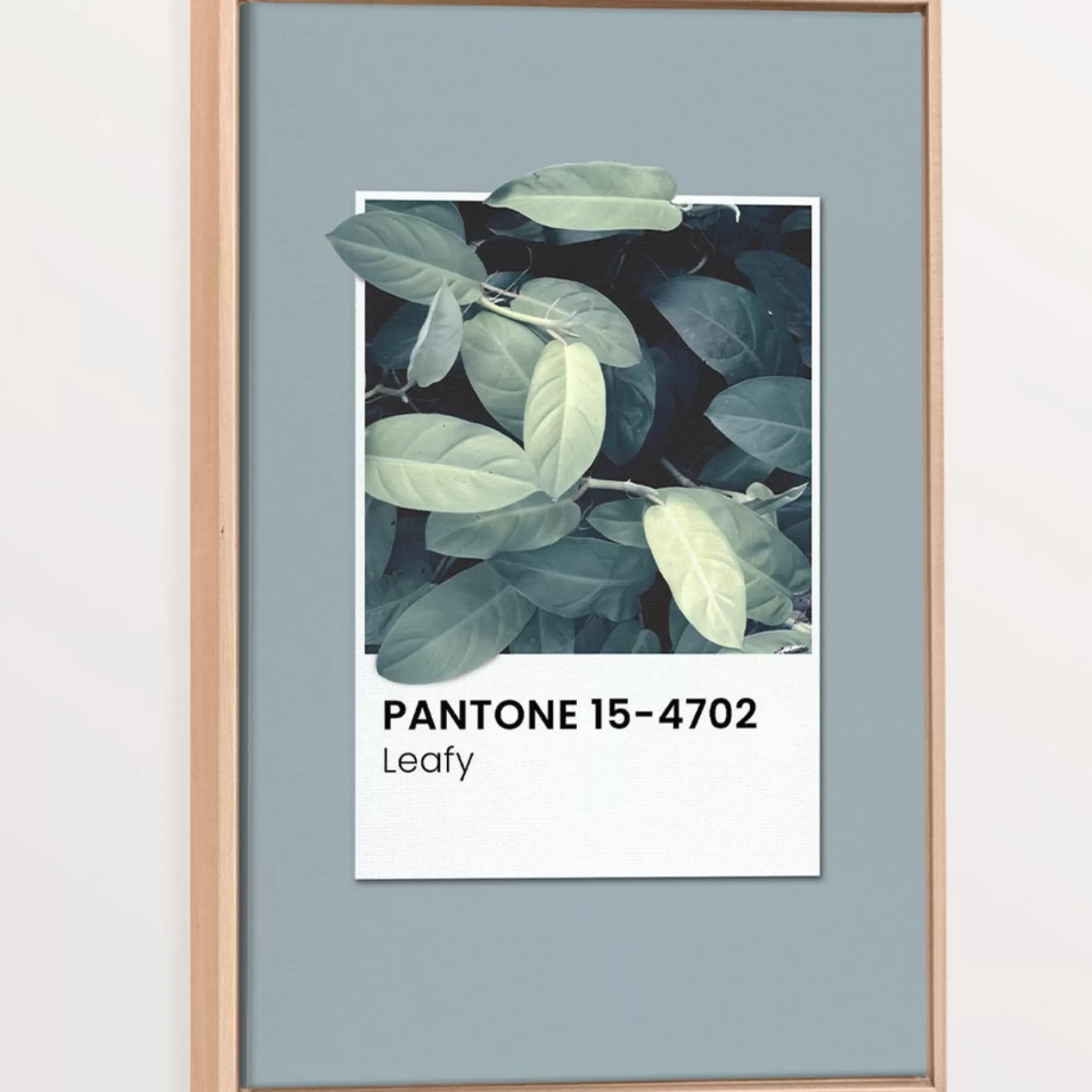 Canvases*Oleka Canvas Canvas - Leafy