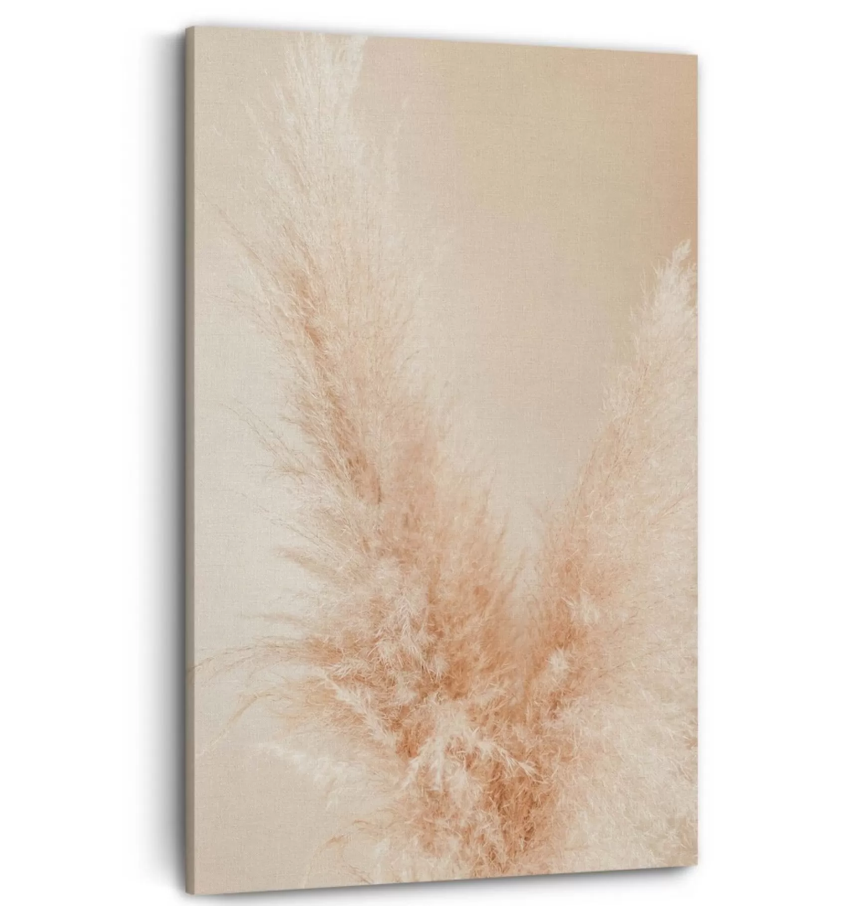 Canvases*Kozy X Oleka Canvas - Pink Pampas