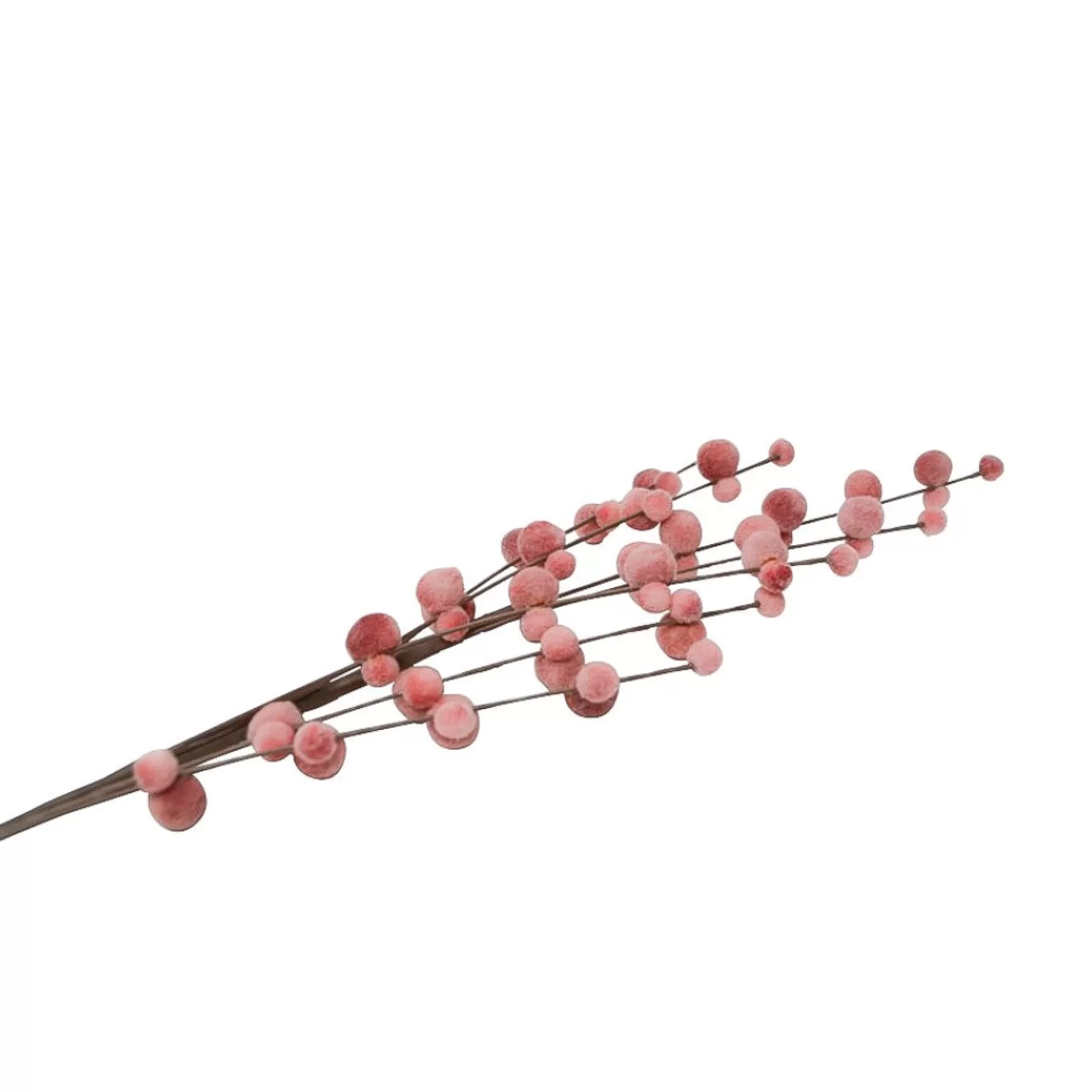 Dried Stems & Flowers*Nostalgia Import Catkins Stem - Pink