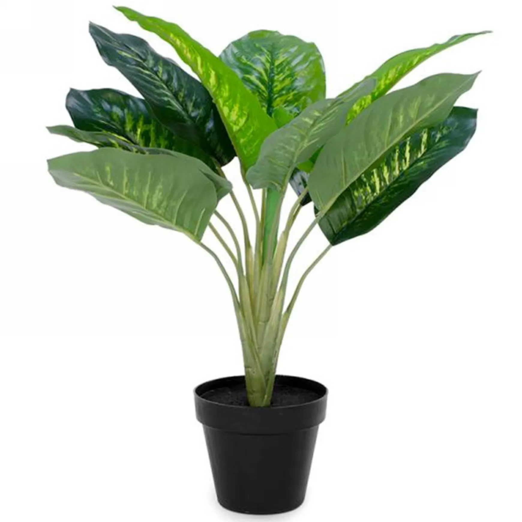 Arrangements*Attitudes Import 2 Decorative Plant In Pot
