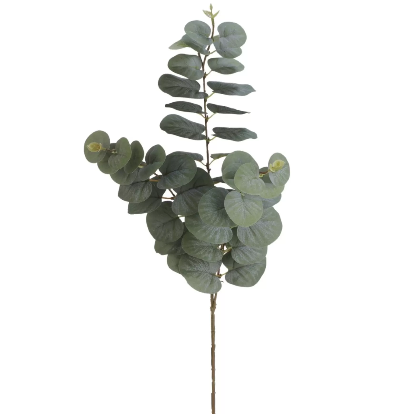 Greenery*Attitudes Import 2 Eucalyptus Branch