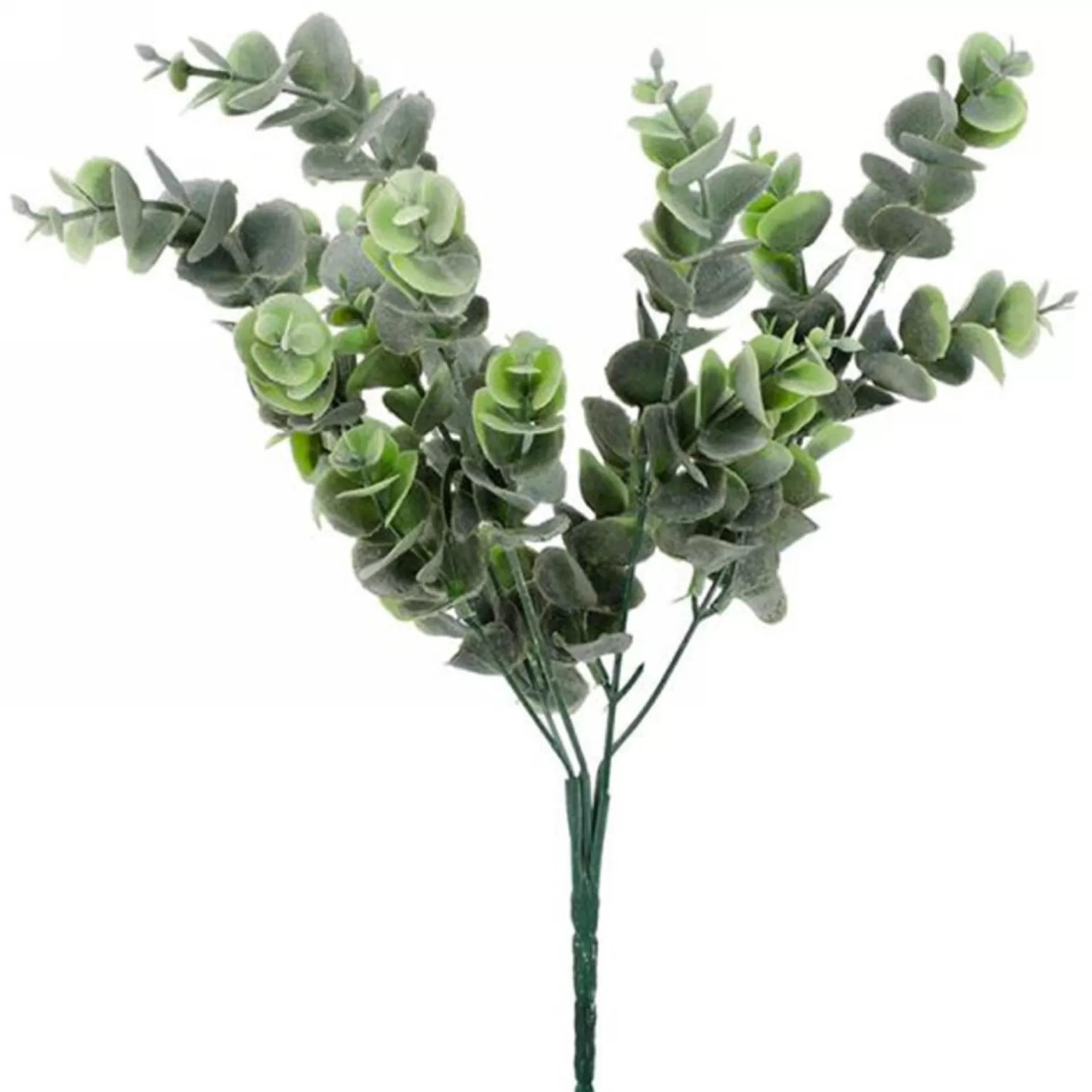 Greenery*Attitudes Import 2 Eucalyptus Stem