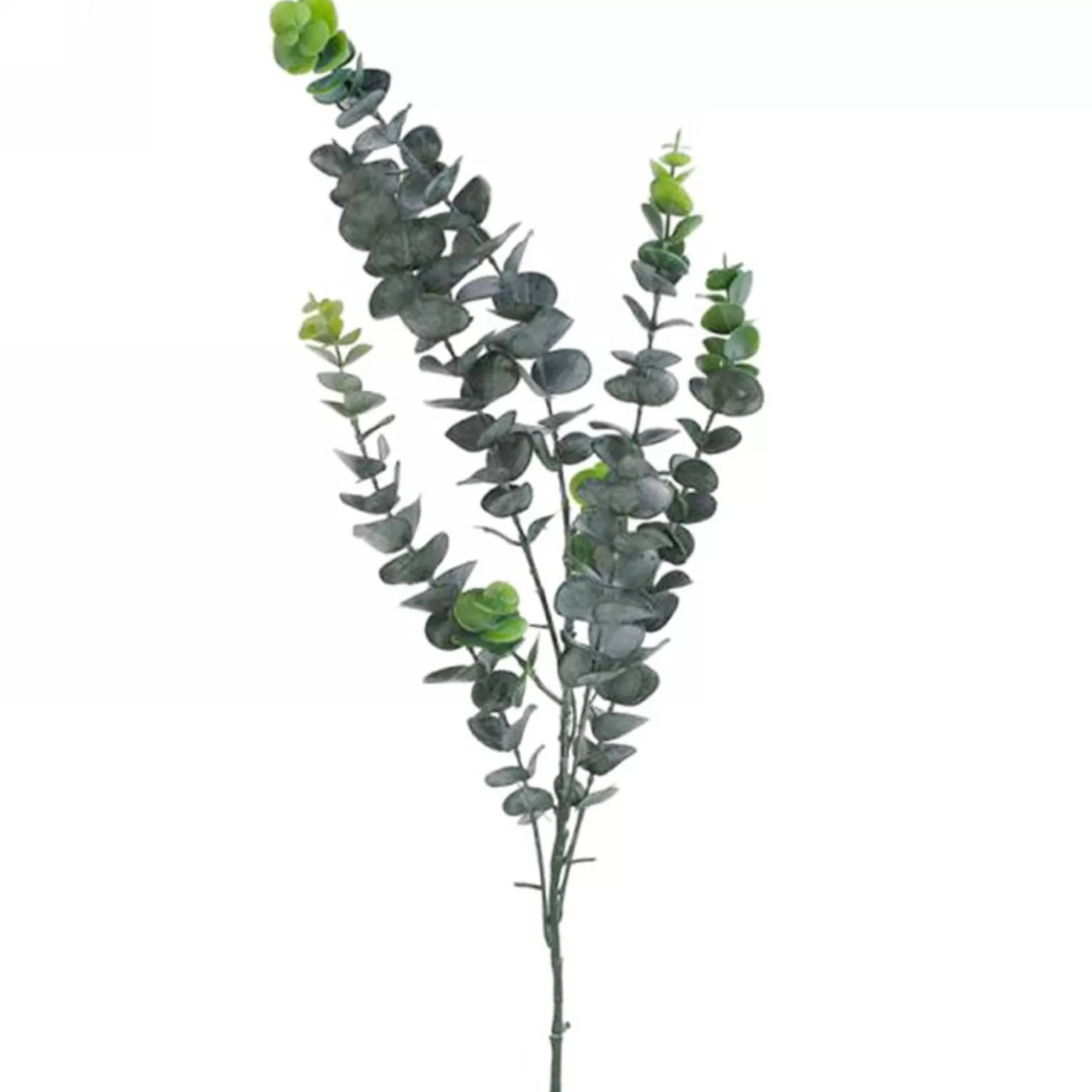 Greenery*Attitudes Import 2 Eucalyptus Stem