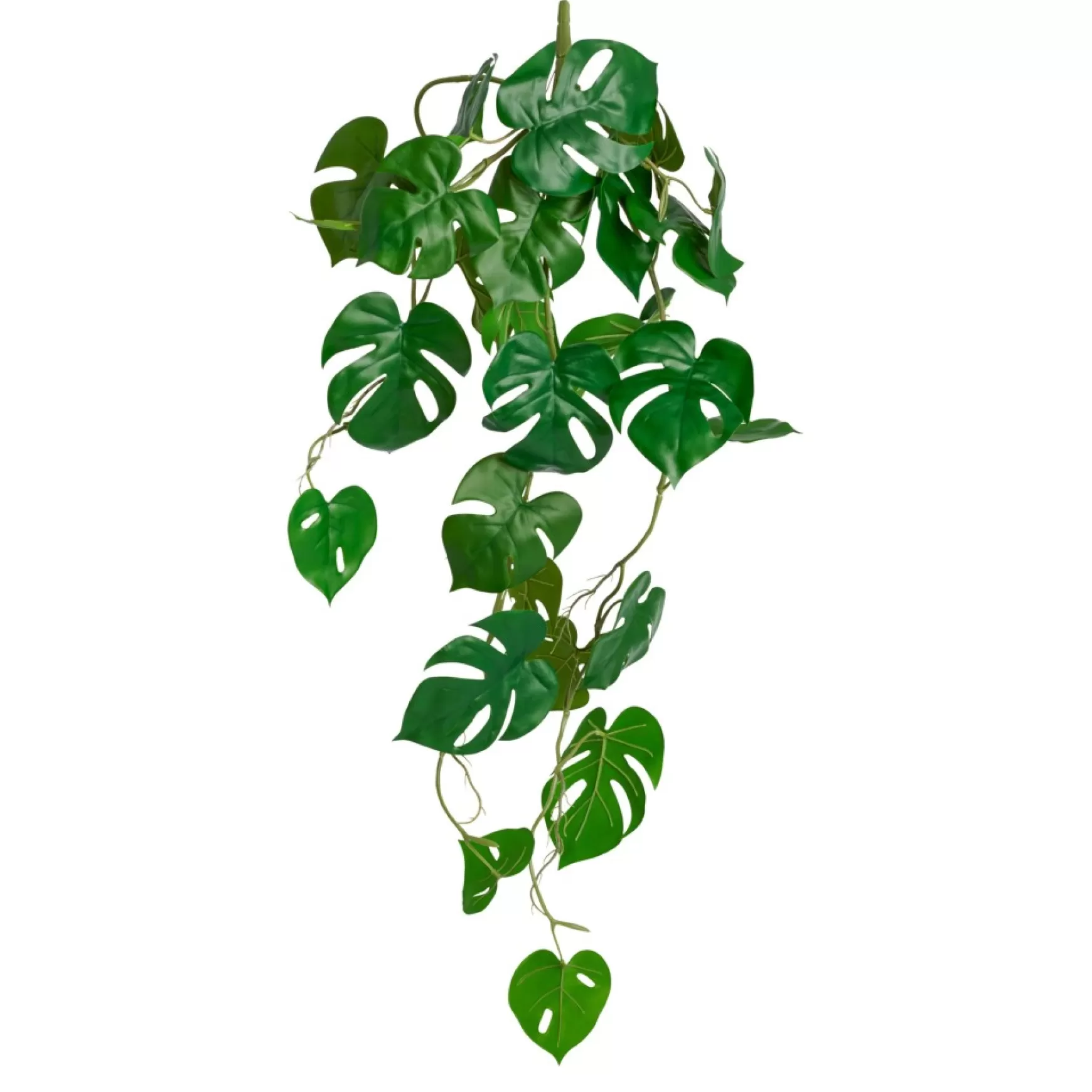 Greenery*Torre Tagus Falling Plant - Monstera