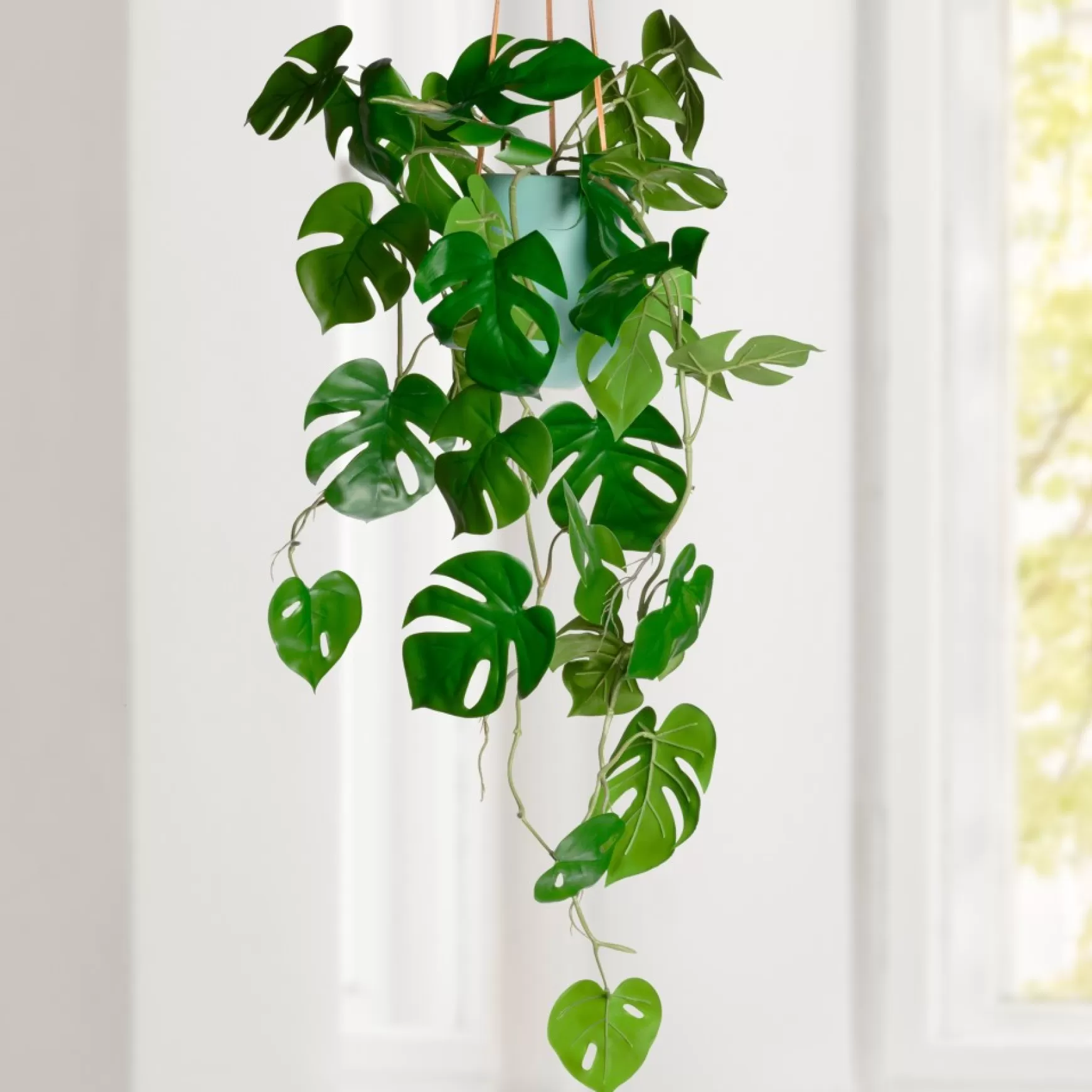 Greenery*Torre Tagus Falling Plant - Monstera