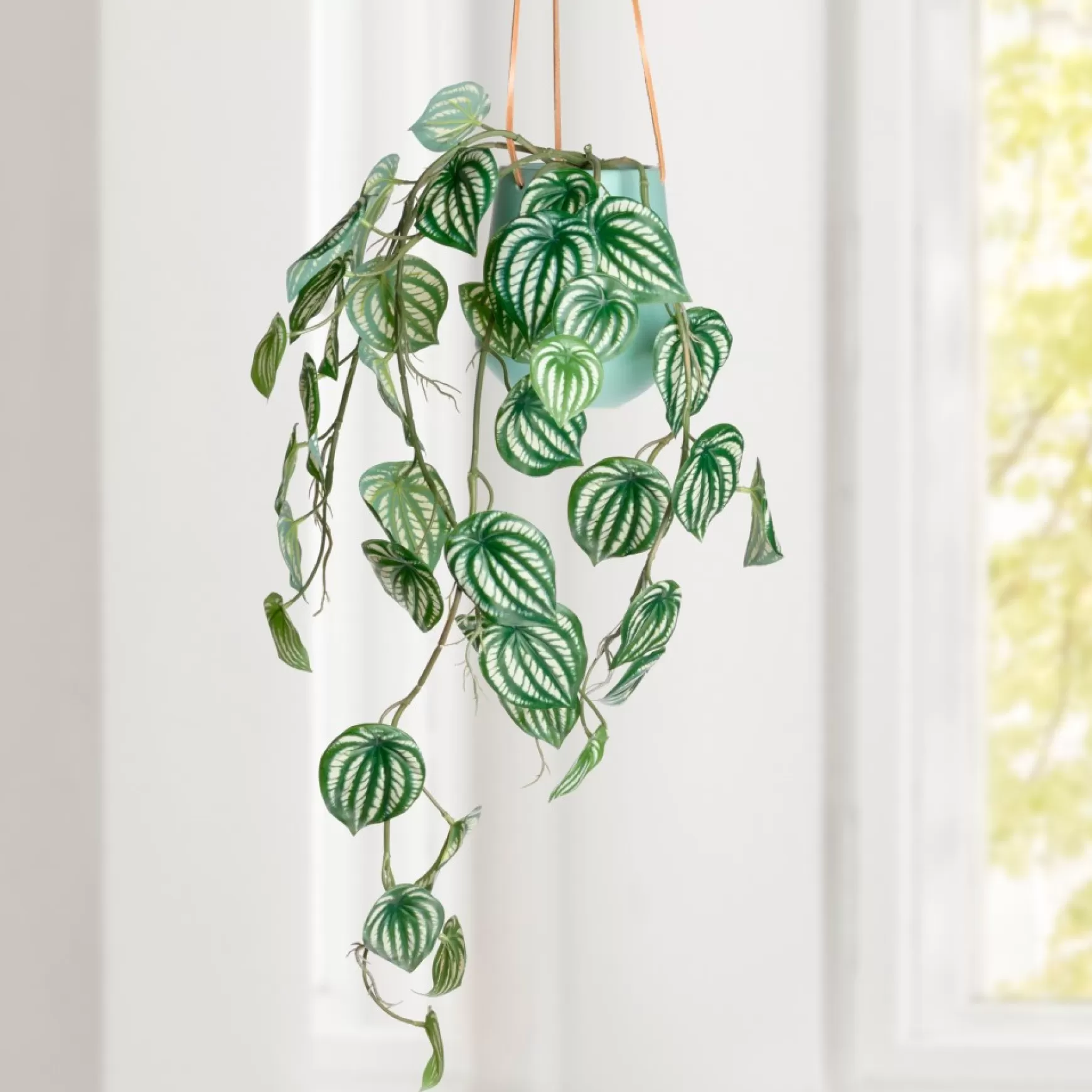 Greenery*Torre Tagus Falling Plant - Peperomia