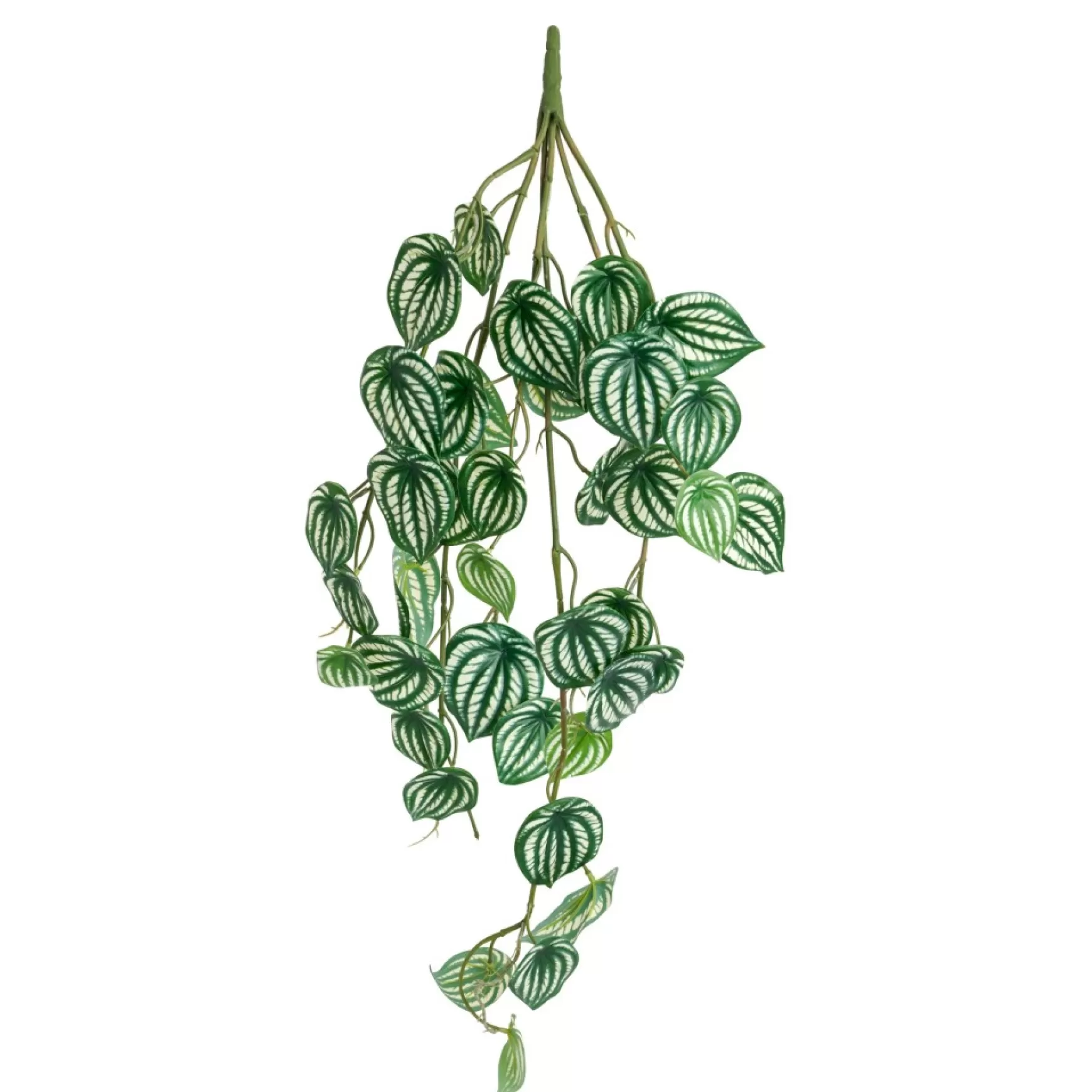 Greenery*Torre Tagus Falling Plant - Peperomia
