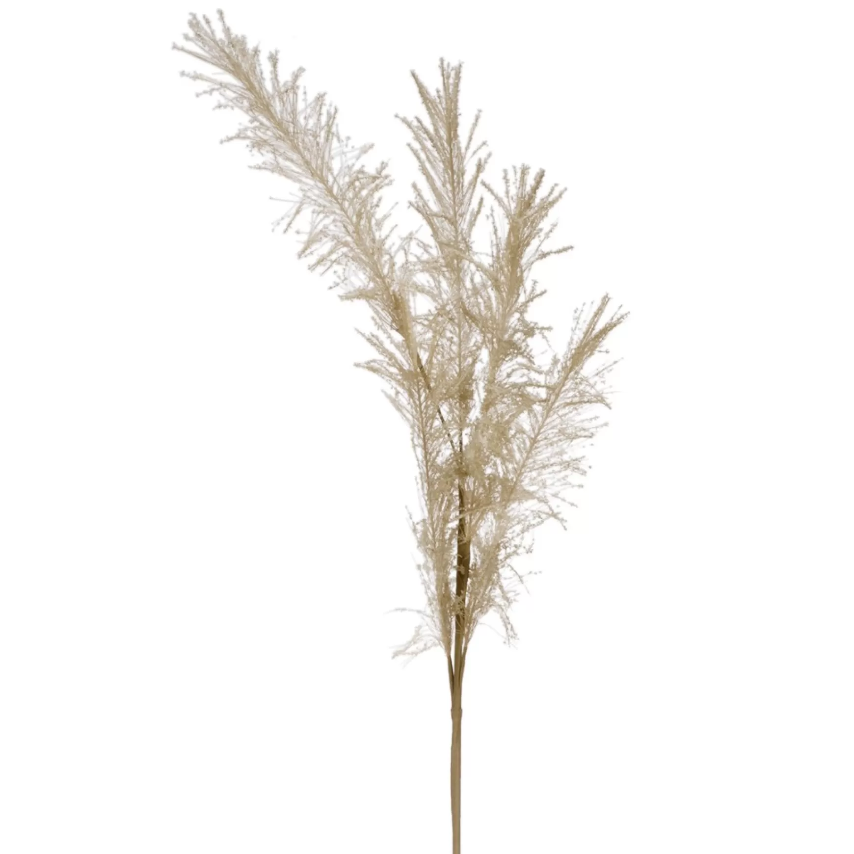 Dried Stems & Flowers*Attitudes Import 2 Feather Branch - Beige