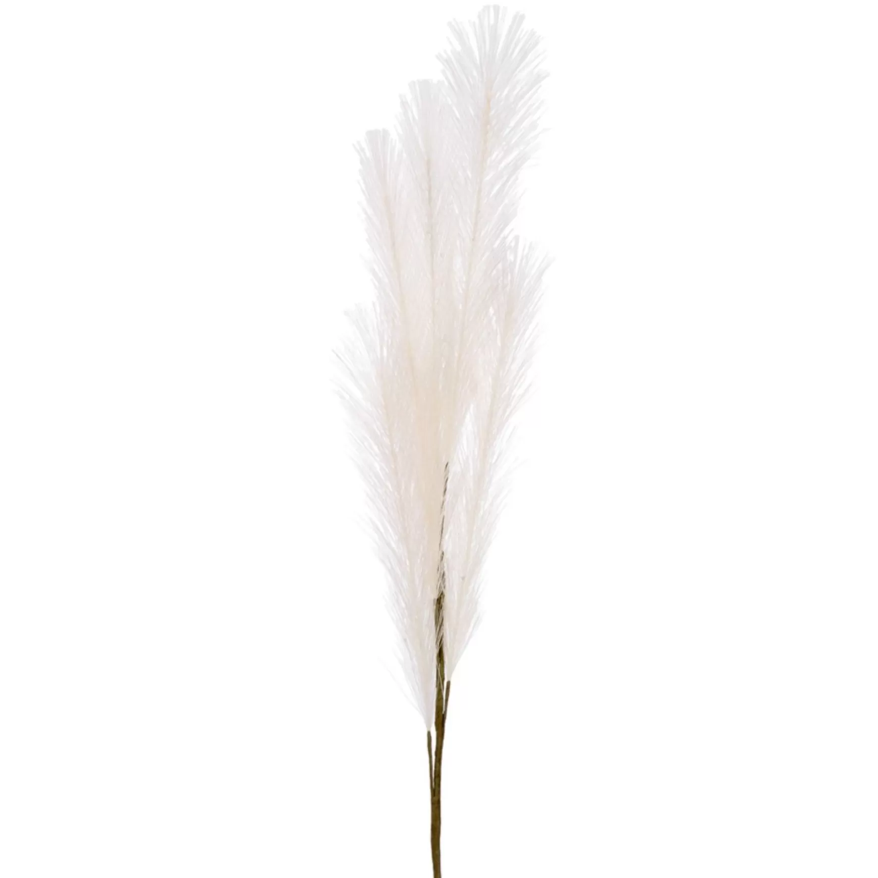 Dried Stems & Flowers*Attitudes Import 2 Feather Branch - Salmon