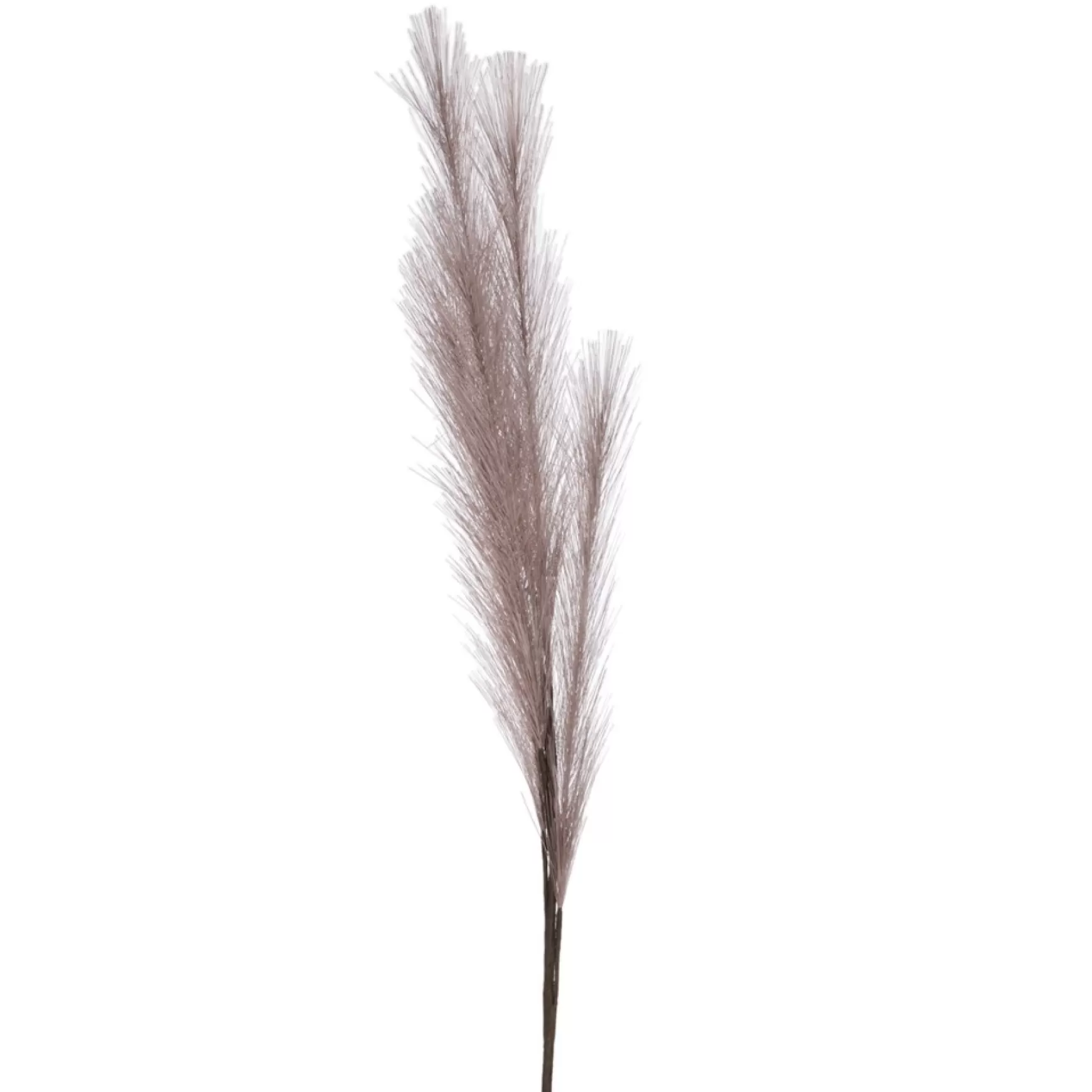 Dried Stems & Flowers*Attitudes Import 2 Feather Branch - Taupe