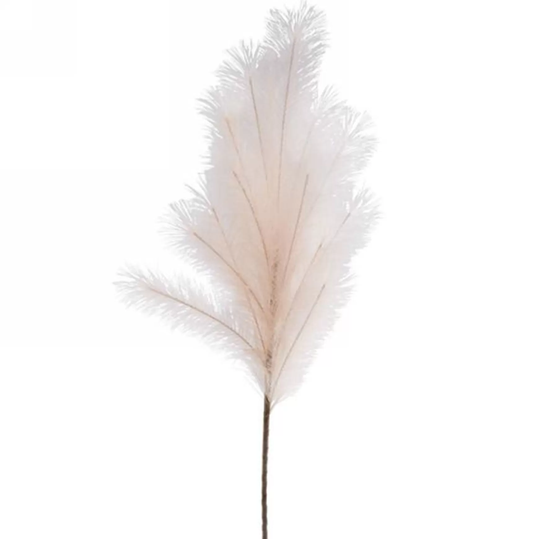Dried Stems & Flowers*Attitudes Import 2 Feather Stem - Beige