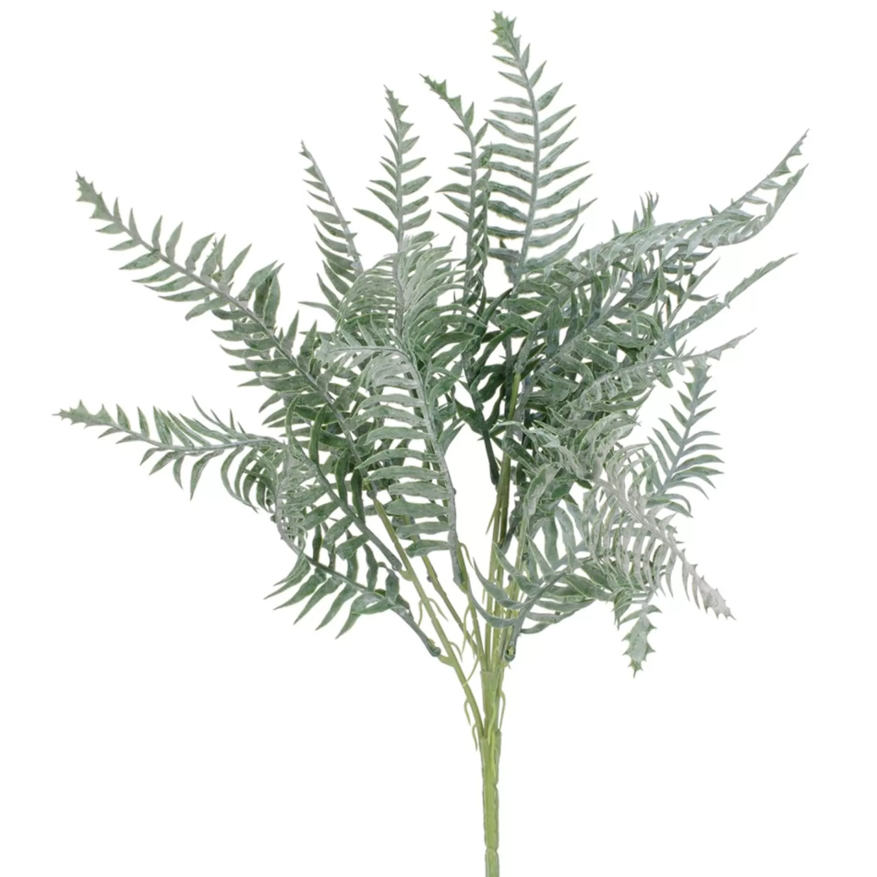 Greenery*Attitudes Import Fern Stem - 18"