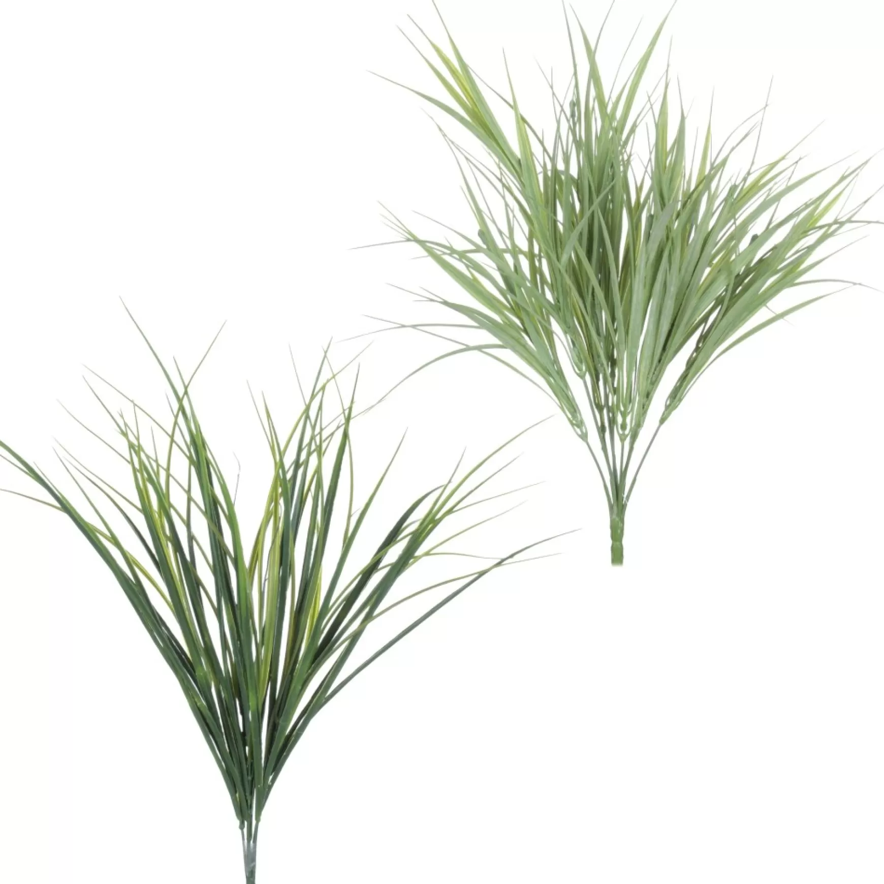 Greenery*Danson Decor Grass Bouquet - 18"