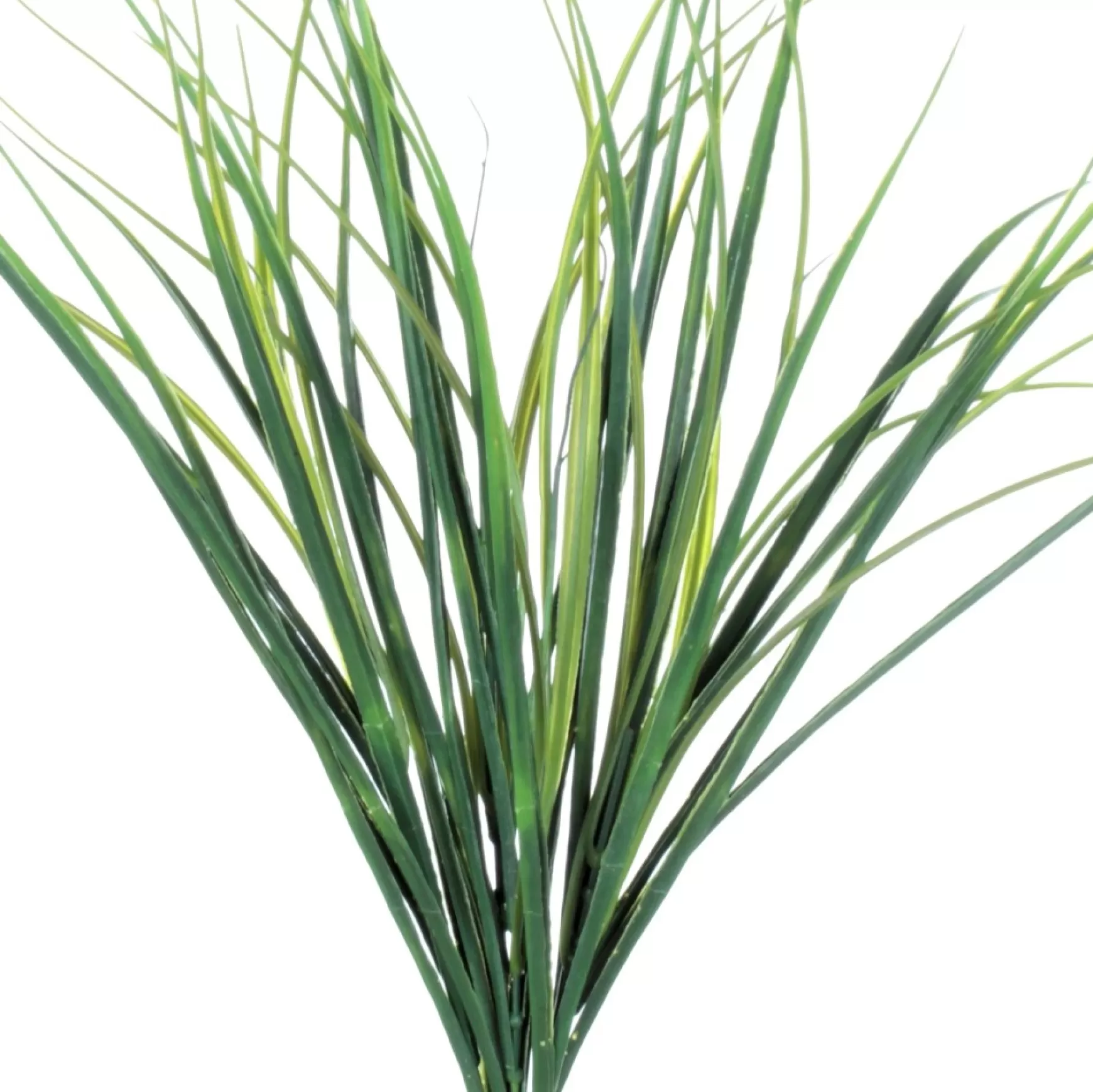 Greenery*Danson Decor Grass Bouquet - 18"