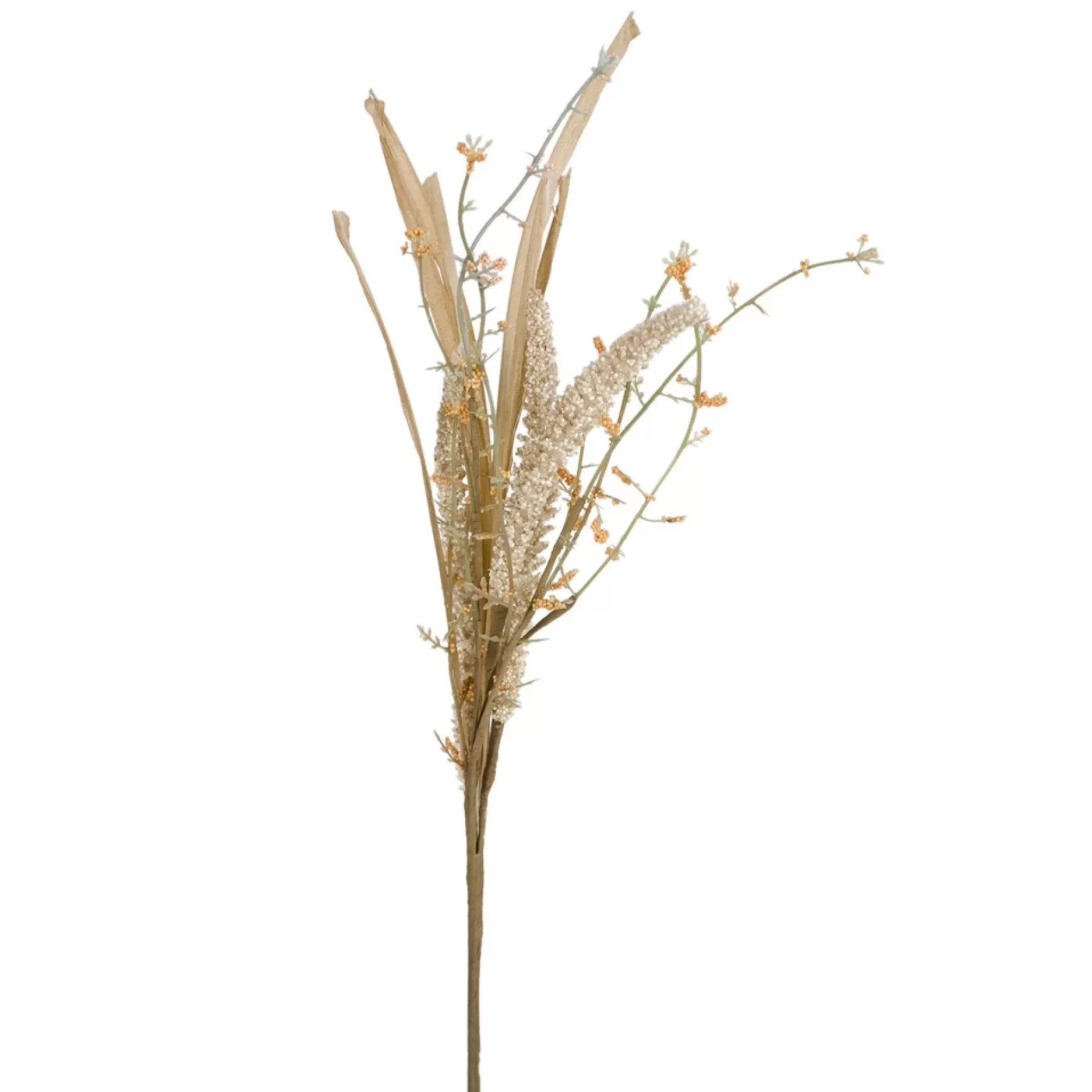 Dried Stems & Flowers*Attitudes Import Grass Stem - Natural