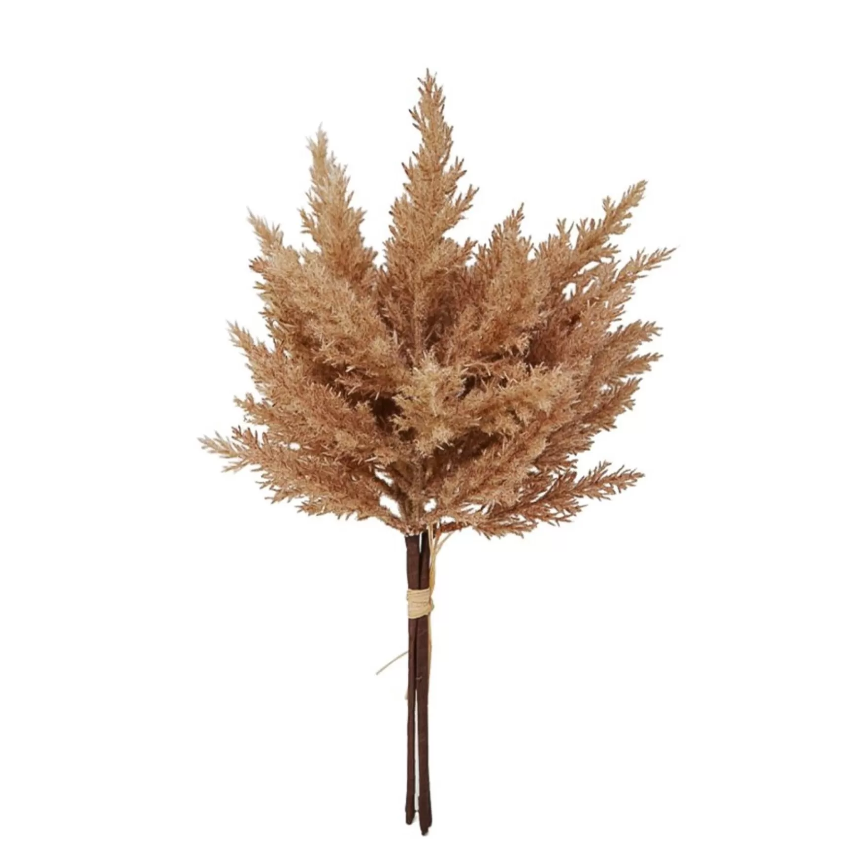 Dried Stems & Flowers*Nostalgia Import Grass Stems - Natural