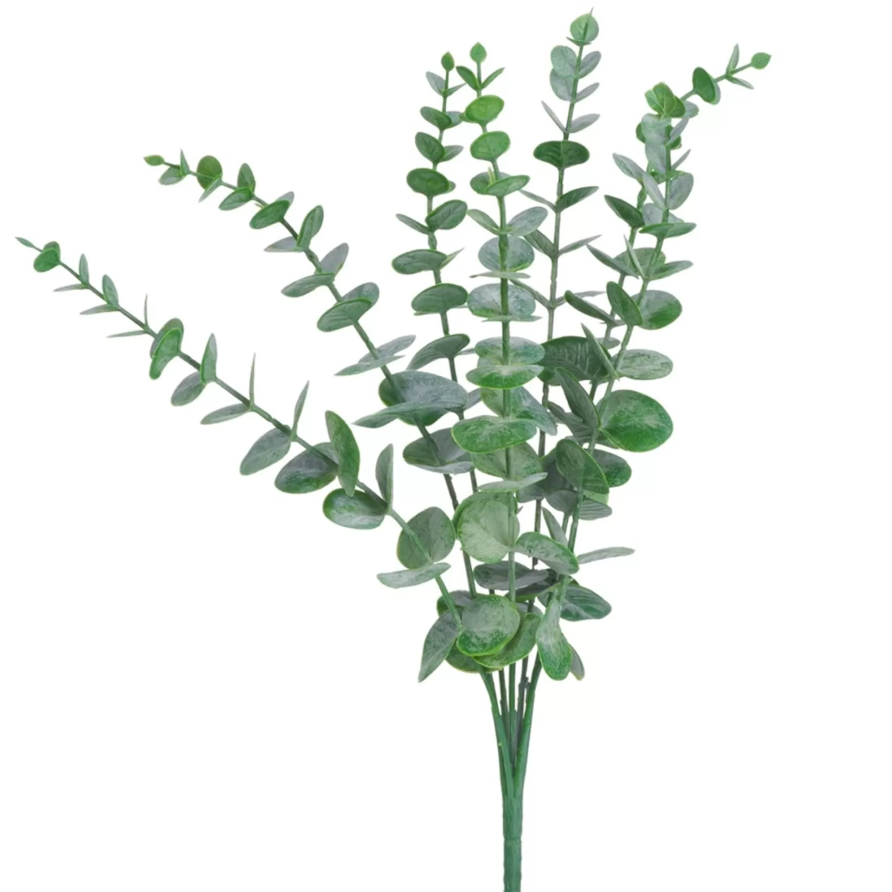 Greenery*Attitudes Import Green Eucalyptus Stem - 15"