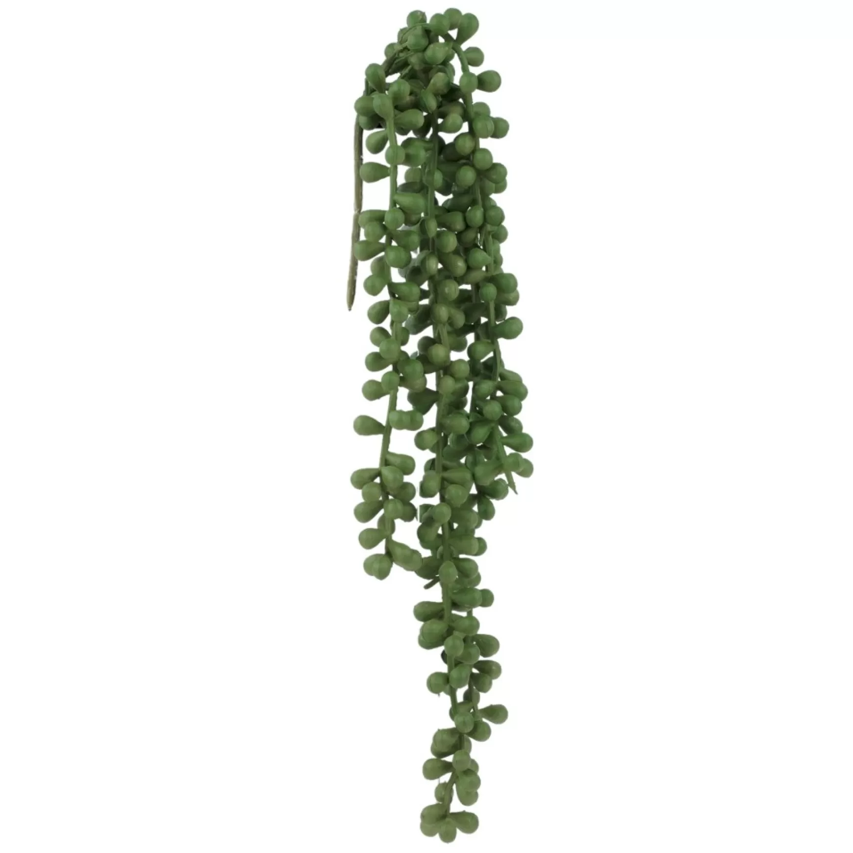 Greenery*Attitudes Import 2 Green Hanging