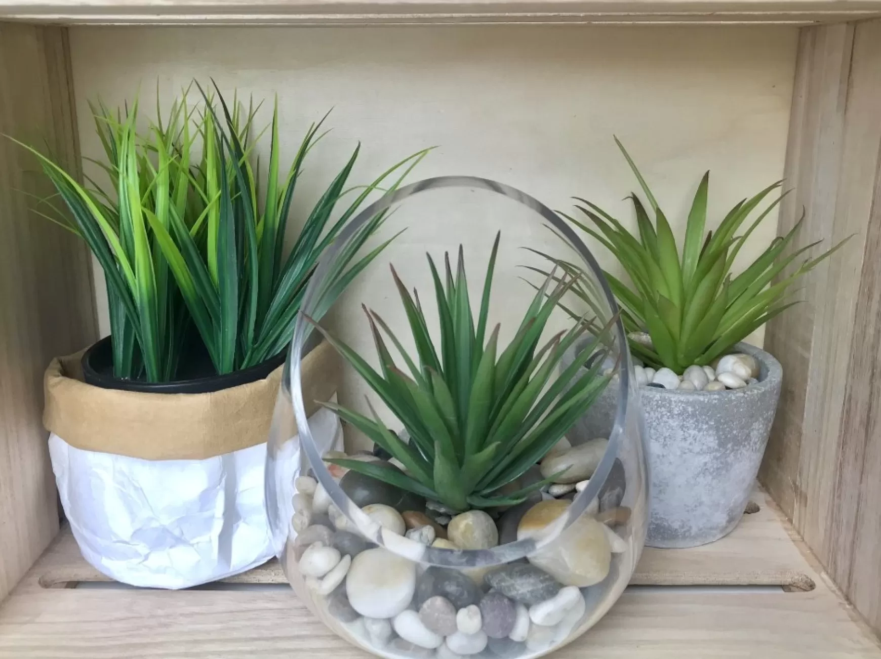 Arrangements*Attitudes Import 2 Green Plant In Pot