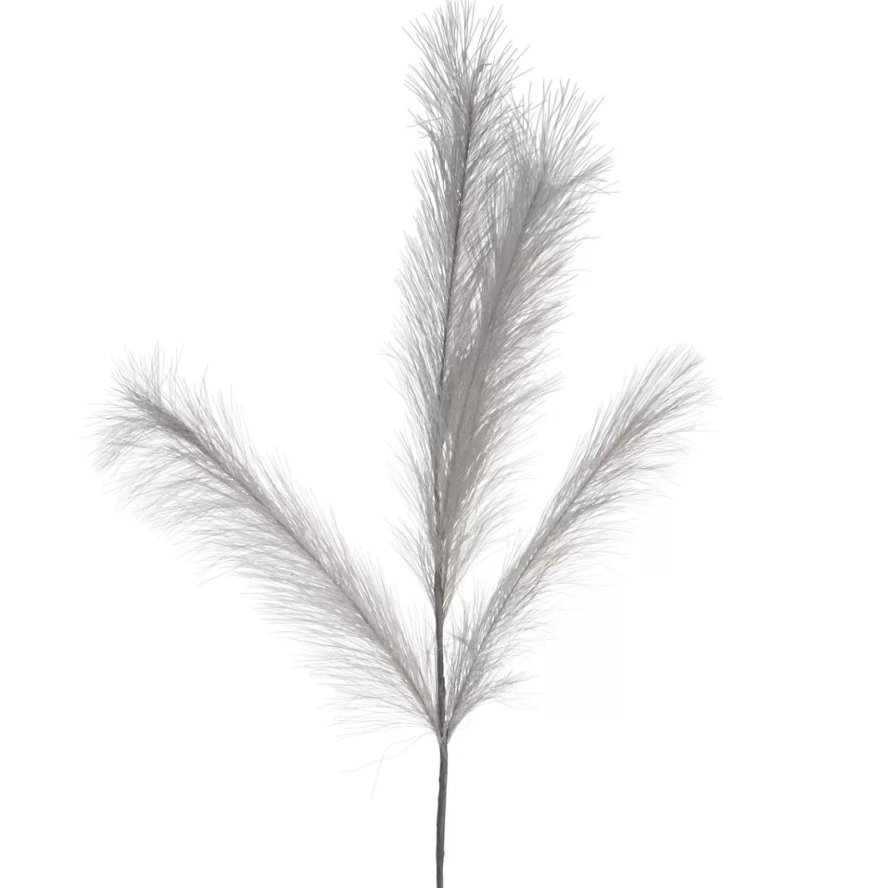 Dried Stems & Flowers*Attitudes Import Grey Feathers Stem - Illuminated