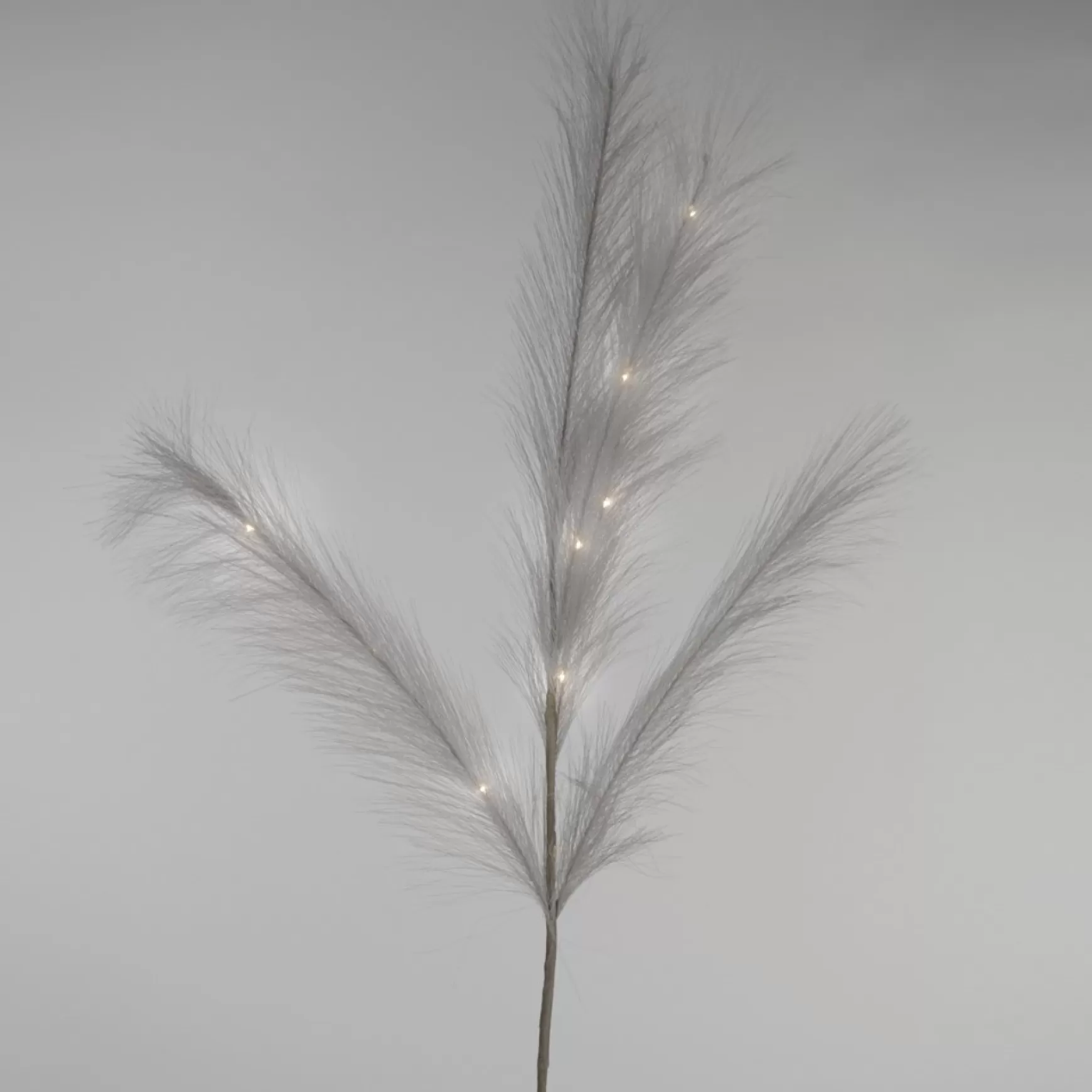 Dried Stems & Flowers*Attitudes Import Grey Feathers Stem - Illuminated