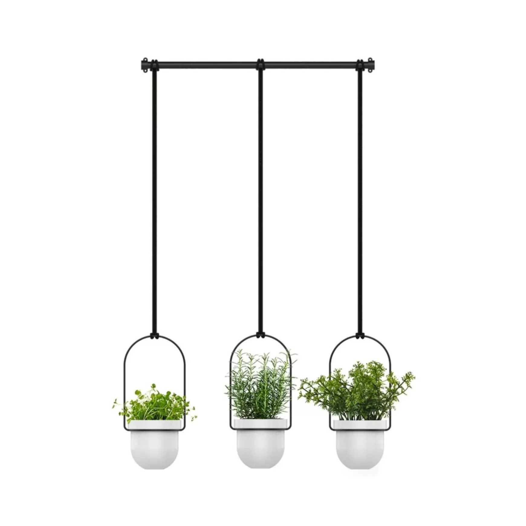 Planters*Umbra Hanging Planter - Triflora