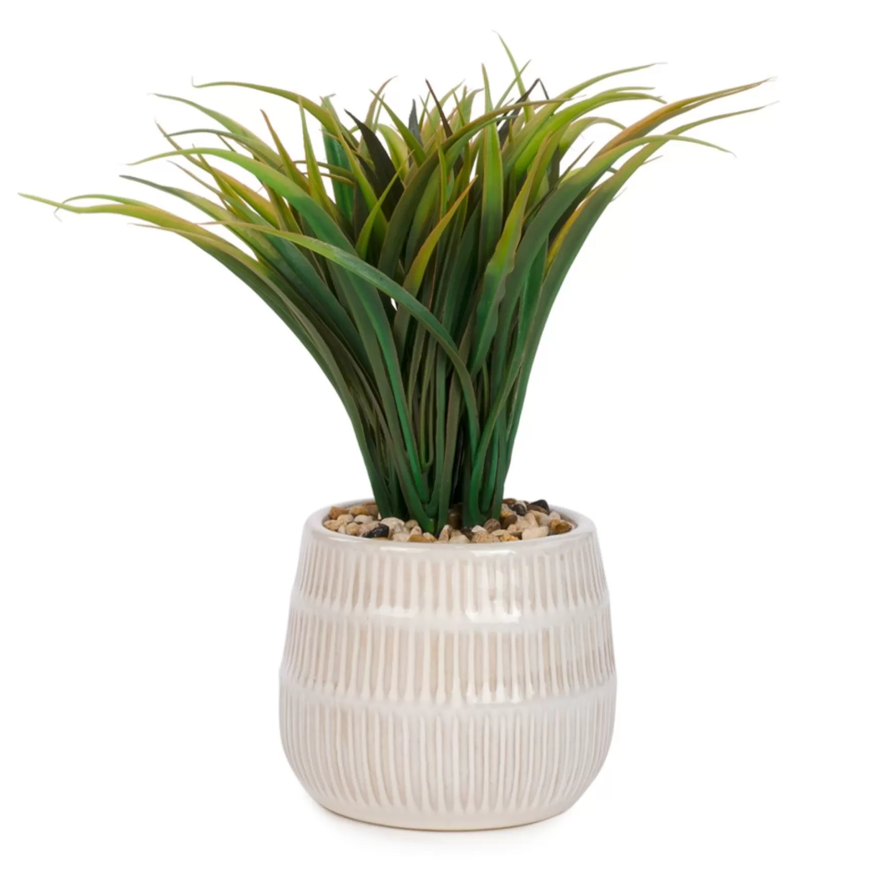 Arrangements*Attitudes Import Herbs In Textured Pots