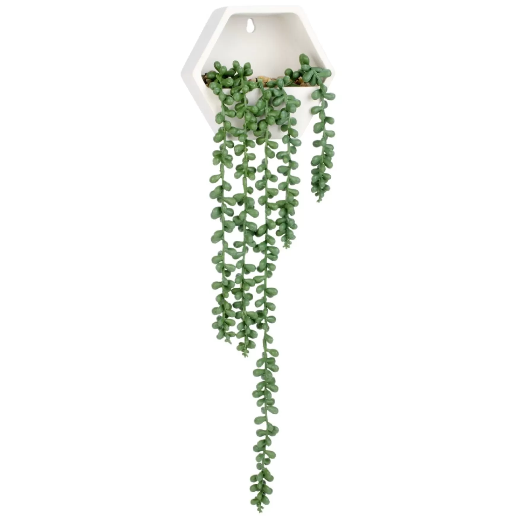 Arrangements*Attitudes Import 2 Hexagonal Wall Vase - Senecio Rowley