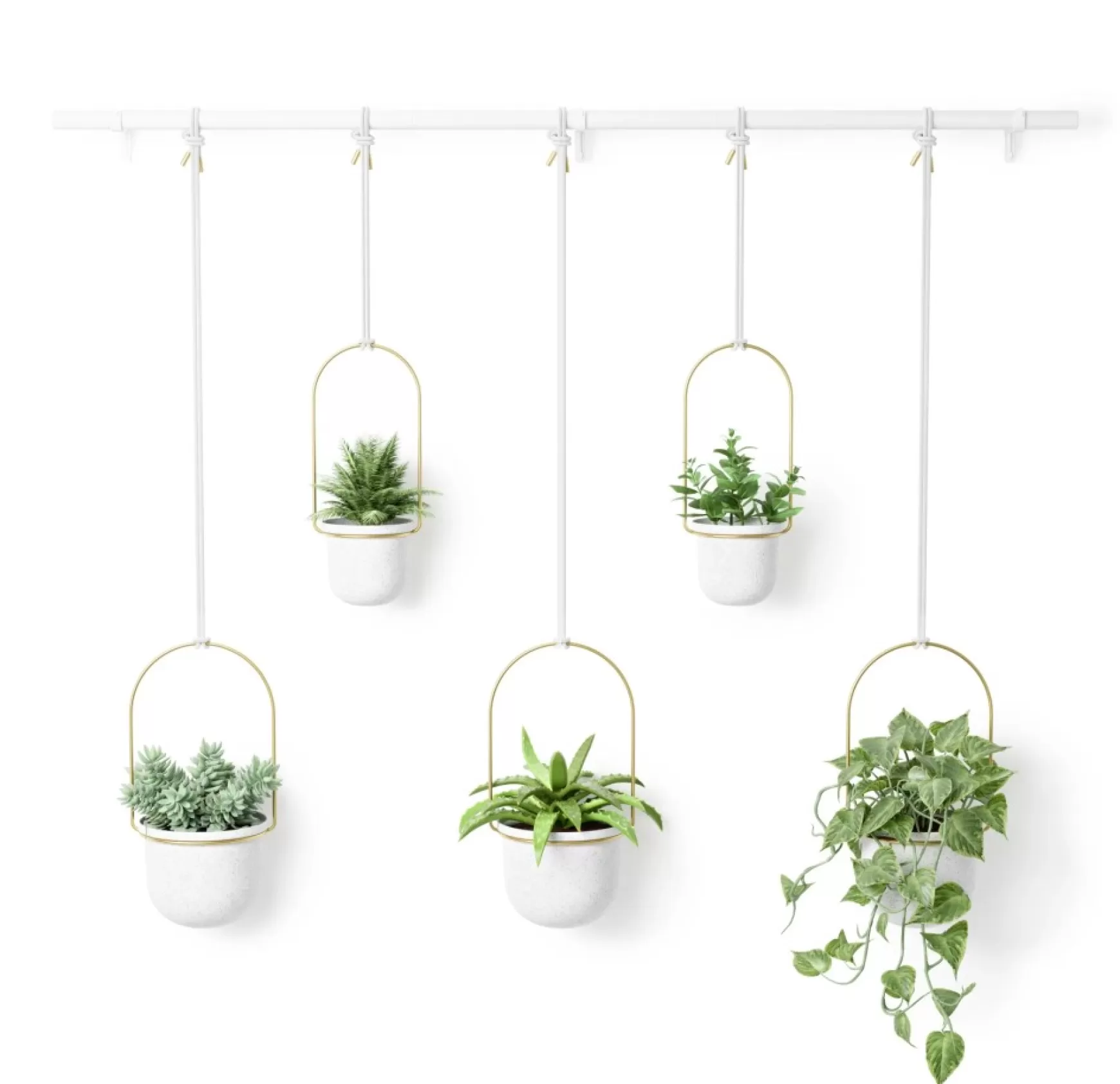 Wall Planters*Umbra Large Hanging Planter - Triflora