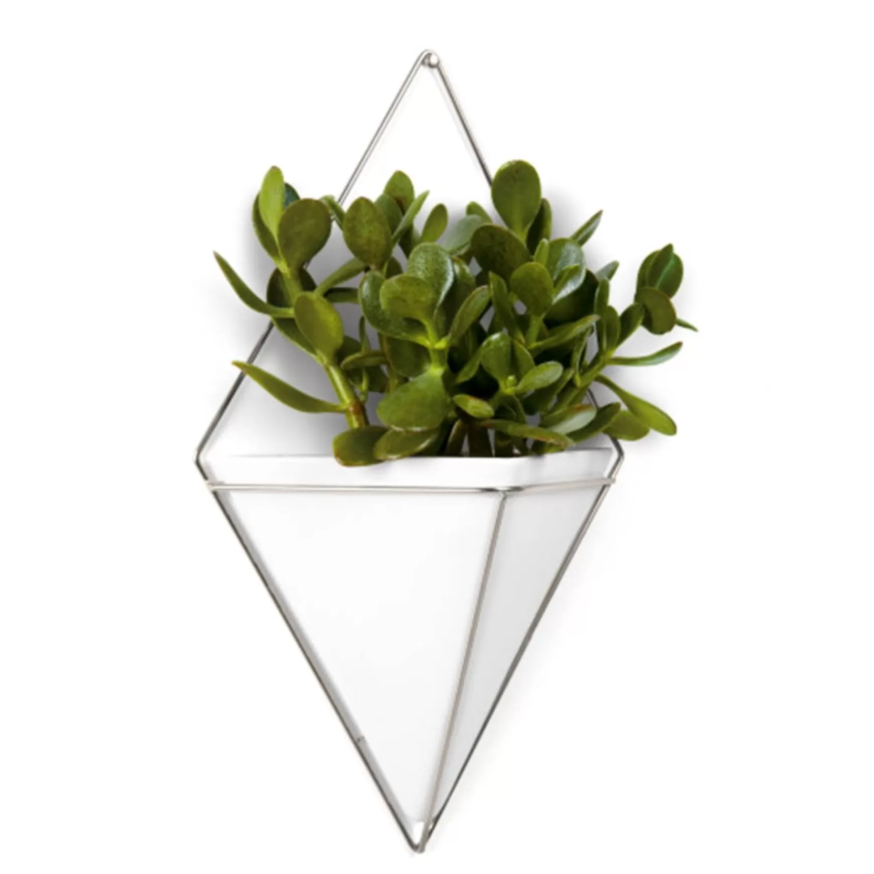 Wall Planters*Umbra Large White Wall Planter - Trigg