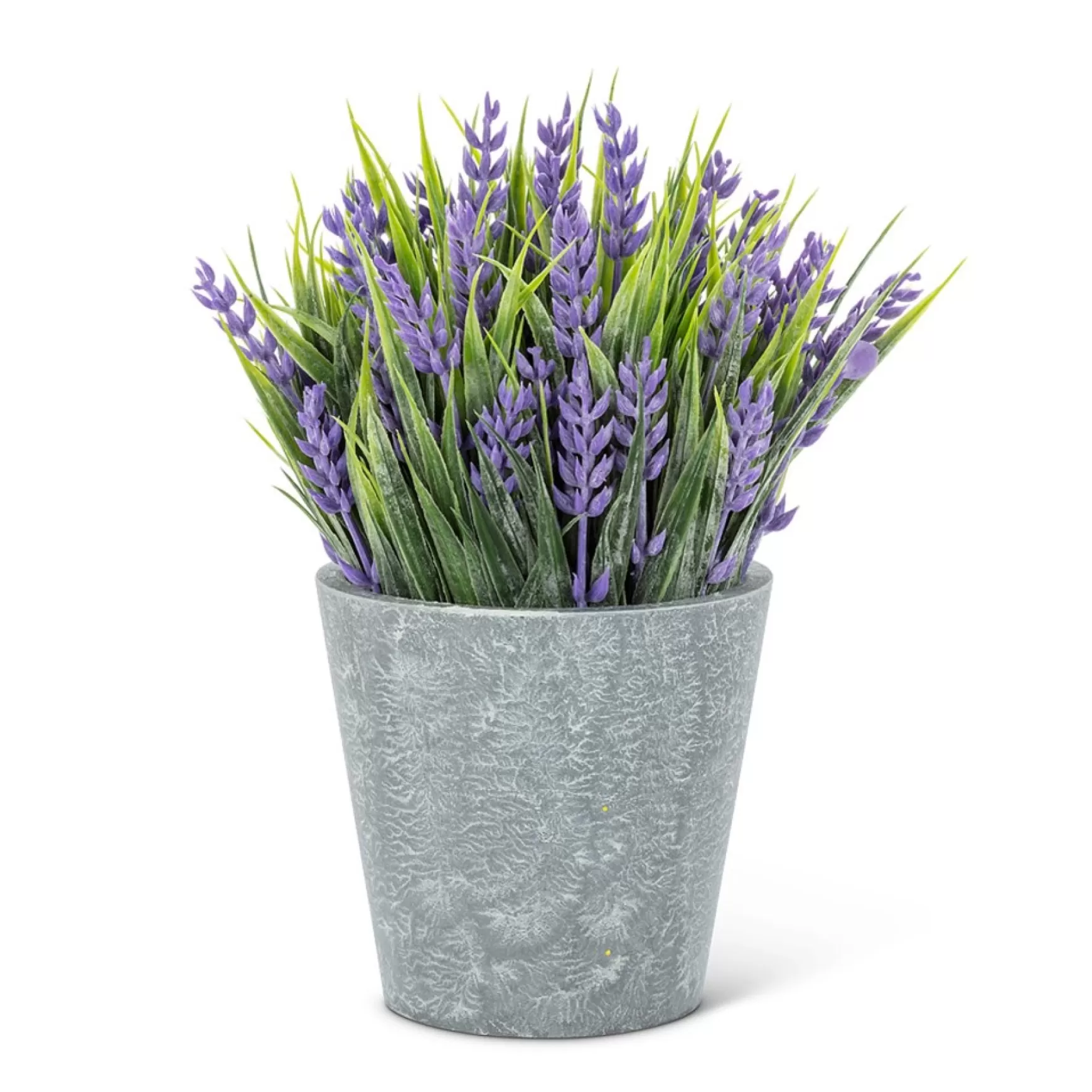 Arrangements*Abbott Lavender Cement Pot