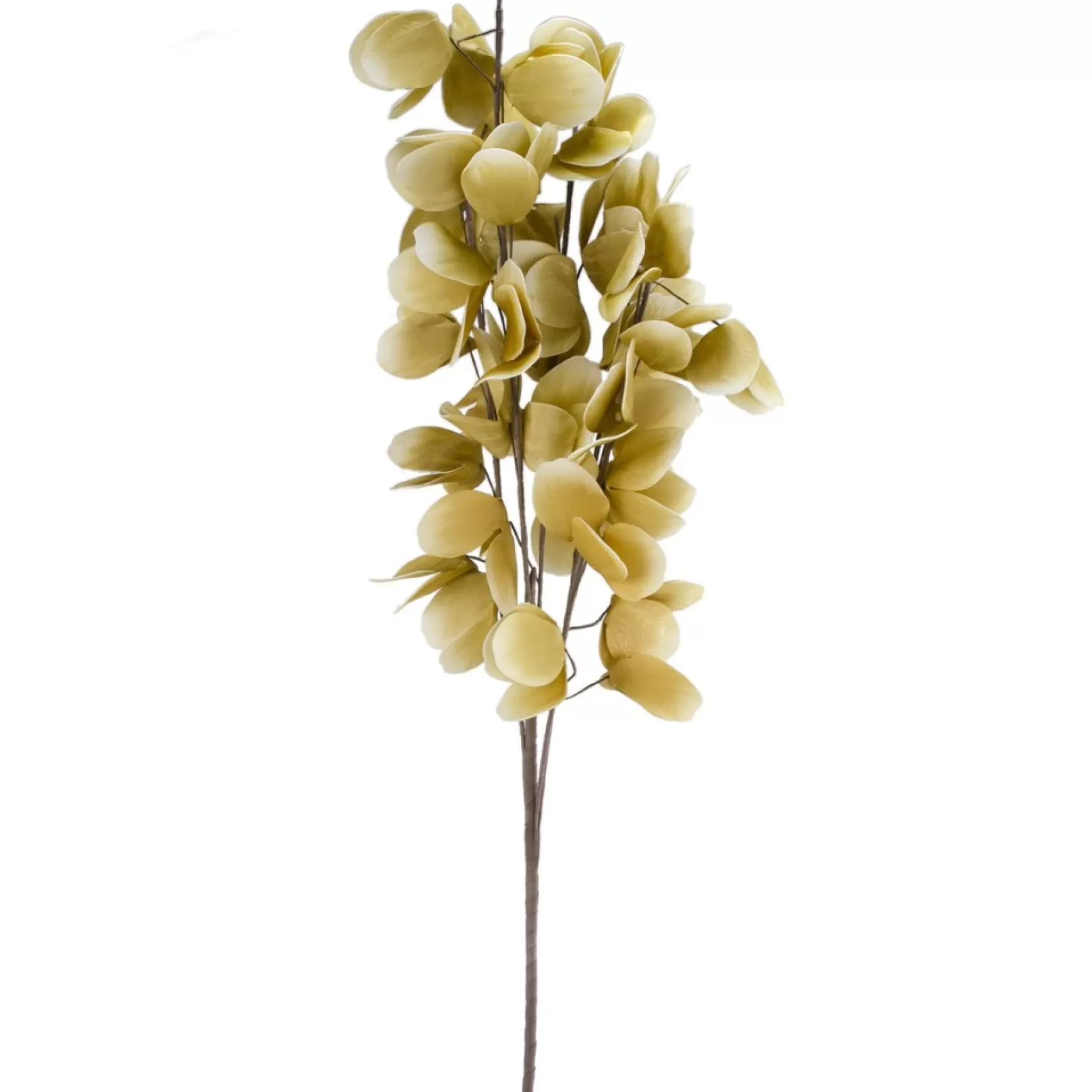 Dried Stems & Flowers*Attitudes Import 2 Leaf Branch - Yellow
