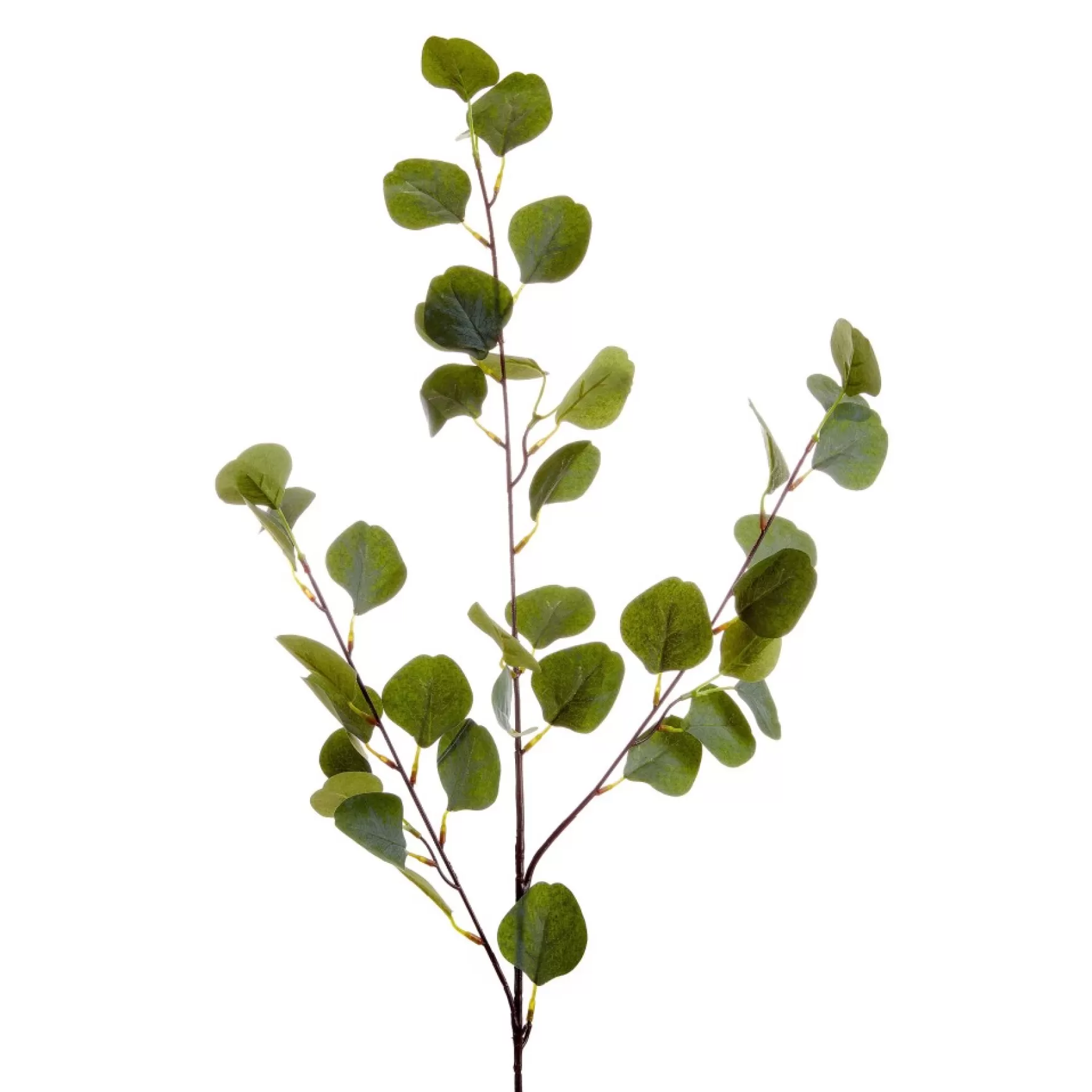 Dried Stems & Flowers*Gift Craft Leafs Branch - 37"