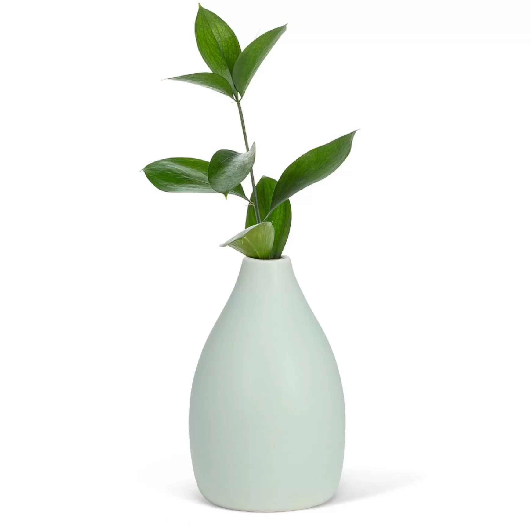 Vases & Pots*Abbott Matte Green Vase - Cashmere