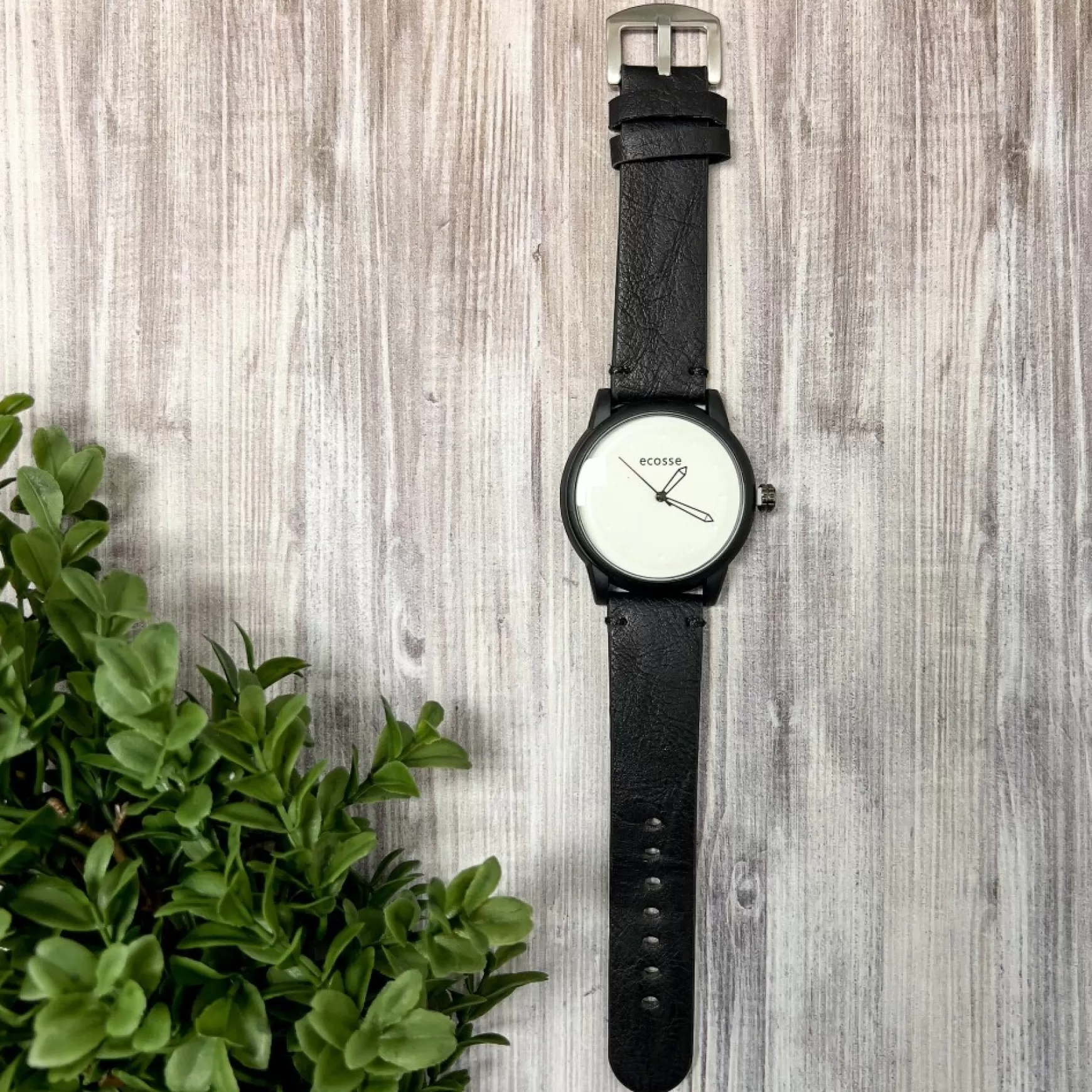 Watchs*Clock it to ya Men's Watch - Simple White Background